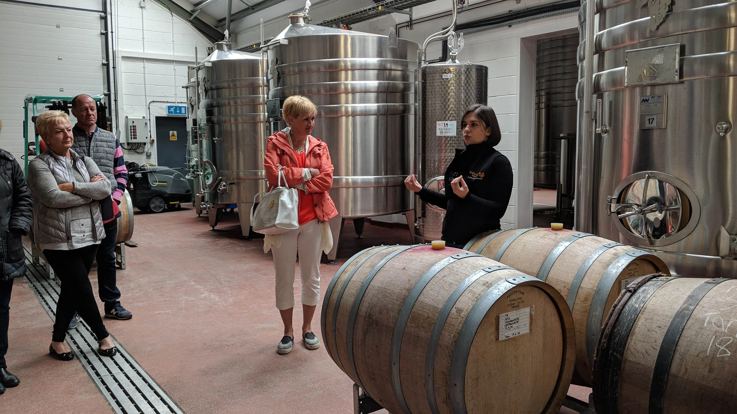 Winery tour at Hattingley Valley Wines