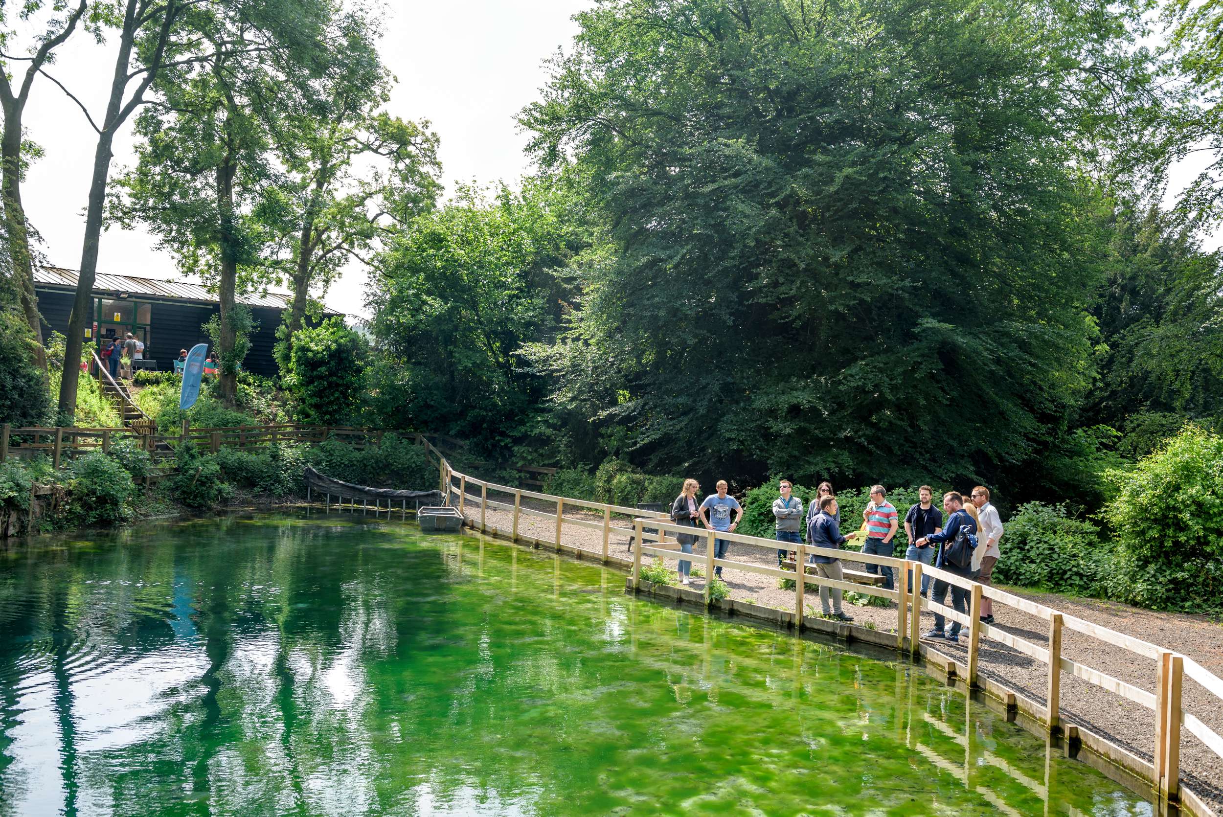 Surrey distillery tour
