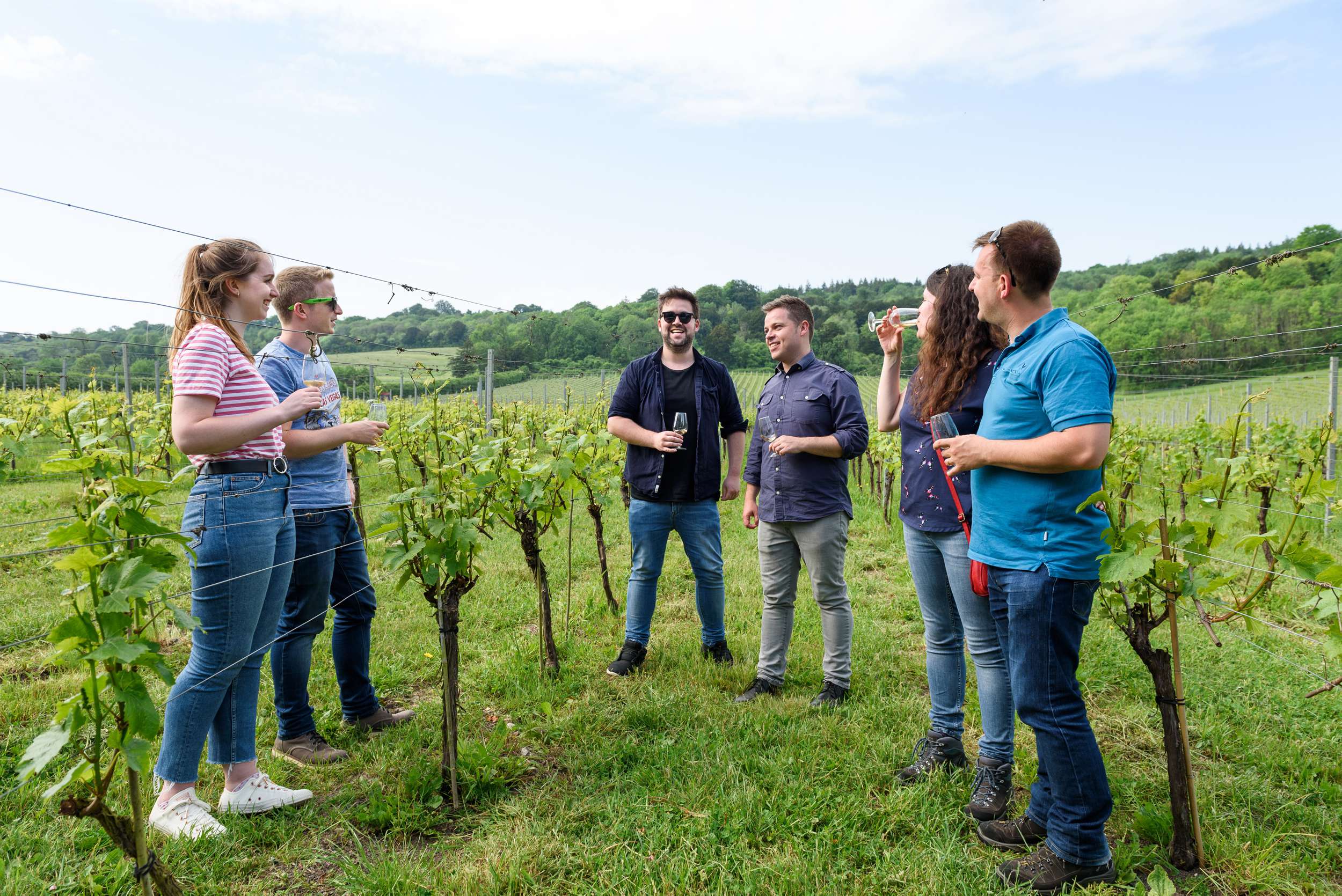 Surrey wine tour