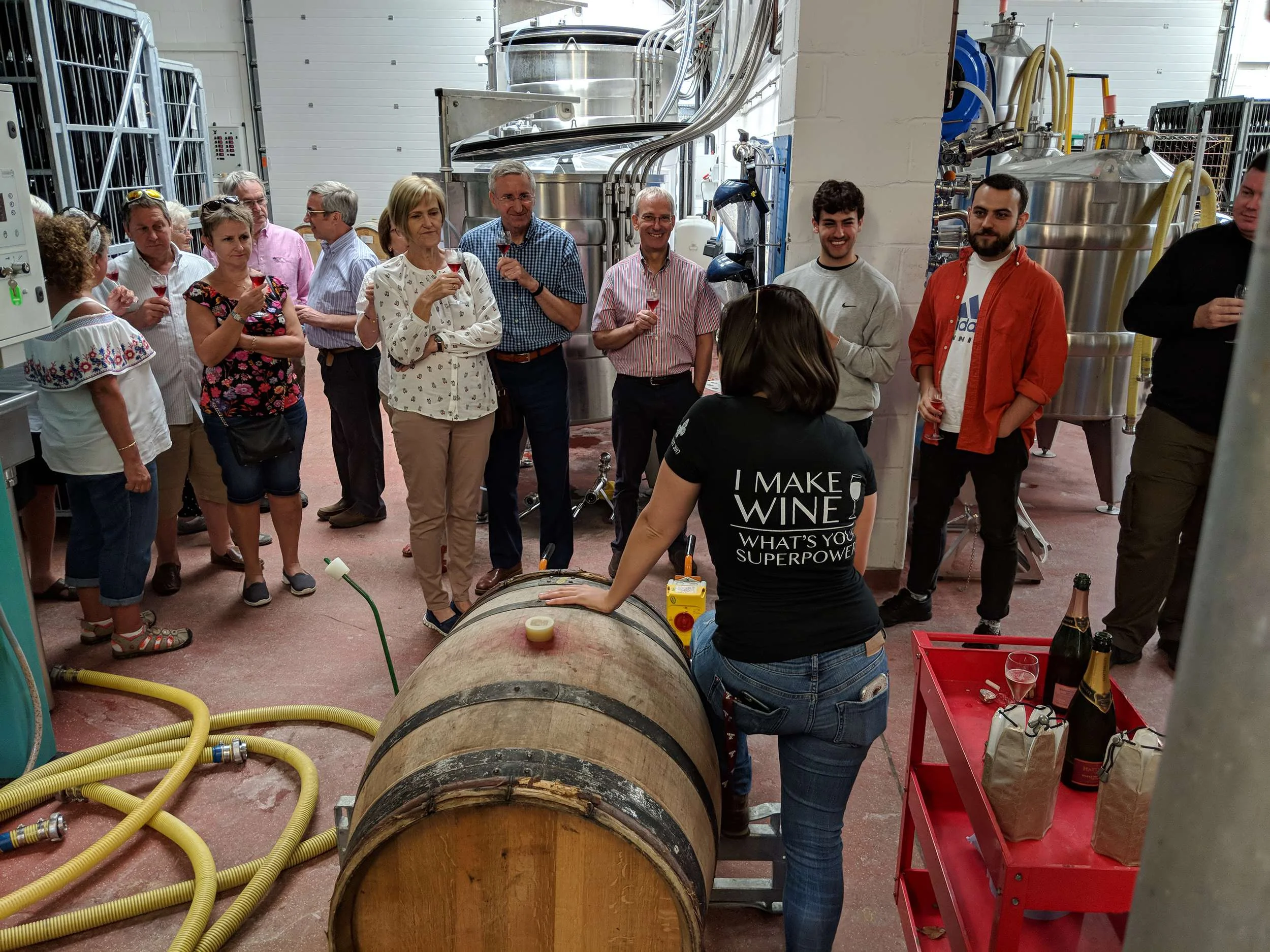 Wine tour in Hampshire