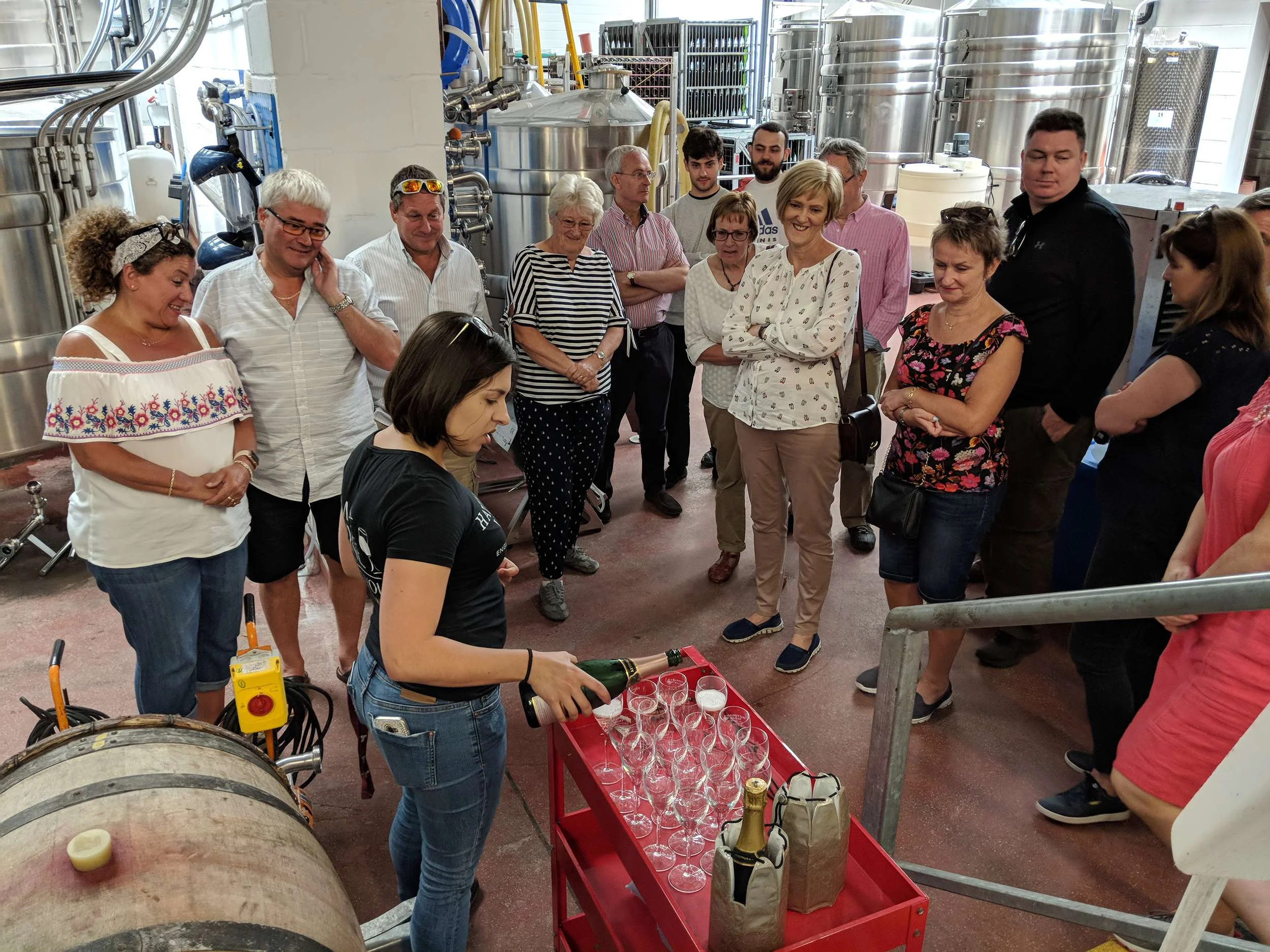 Wine tasting at Hattingley Valley Wines