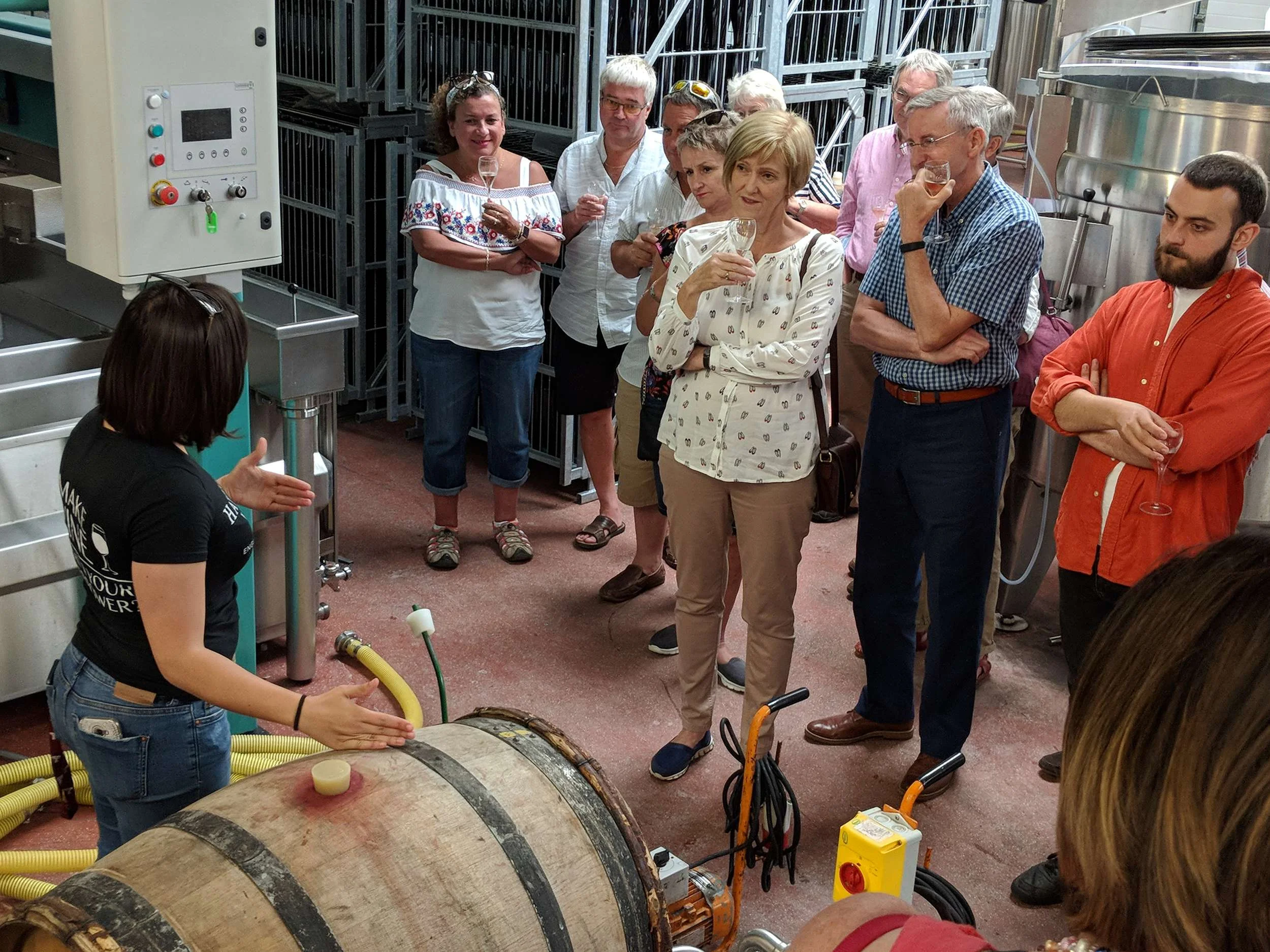 Wine tour at Hattingley Valley Wines