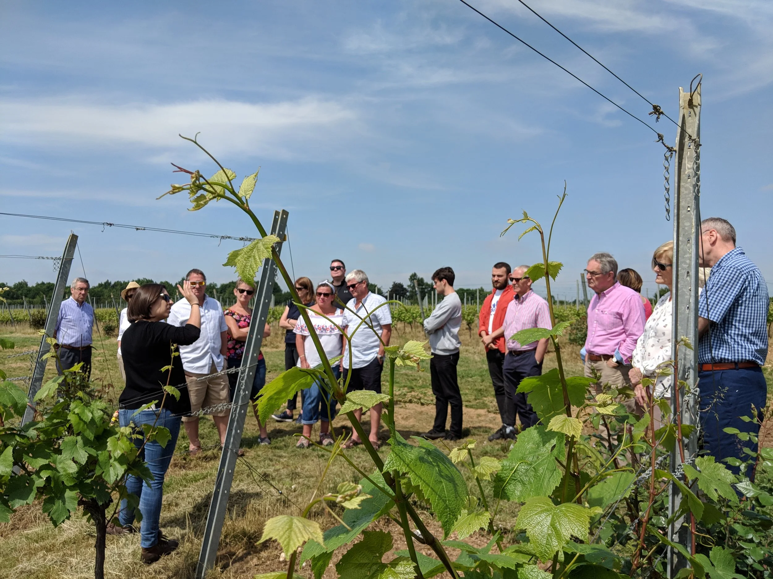 Tour Photos: Hampshire Tour - 9th June 2018