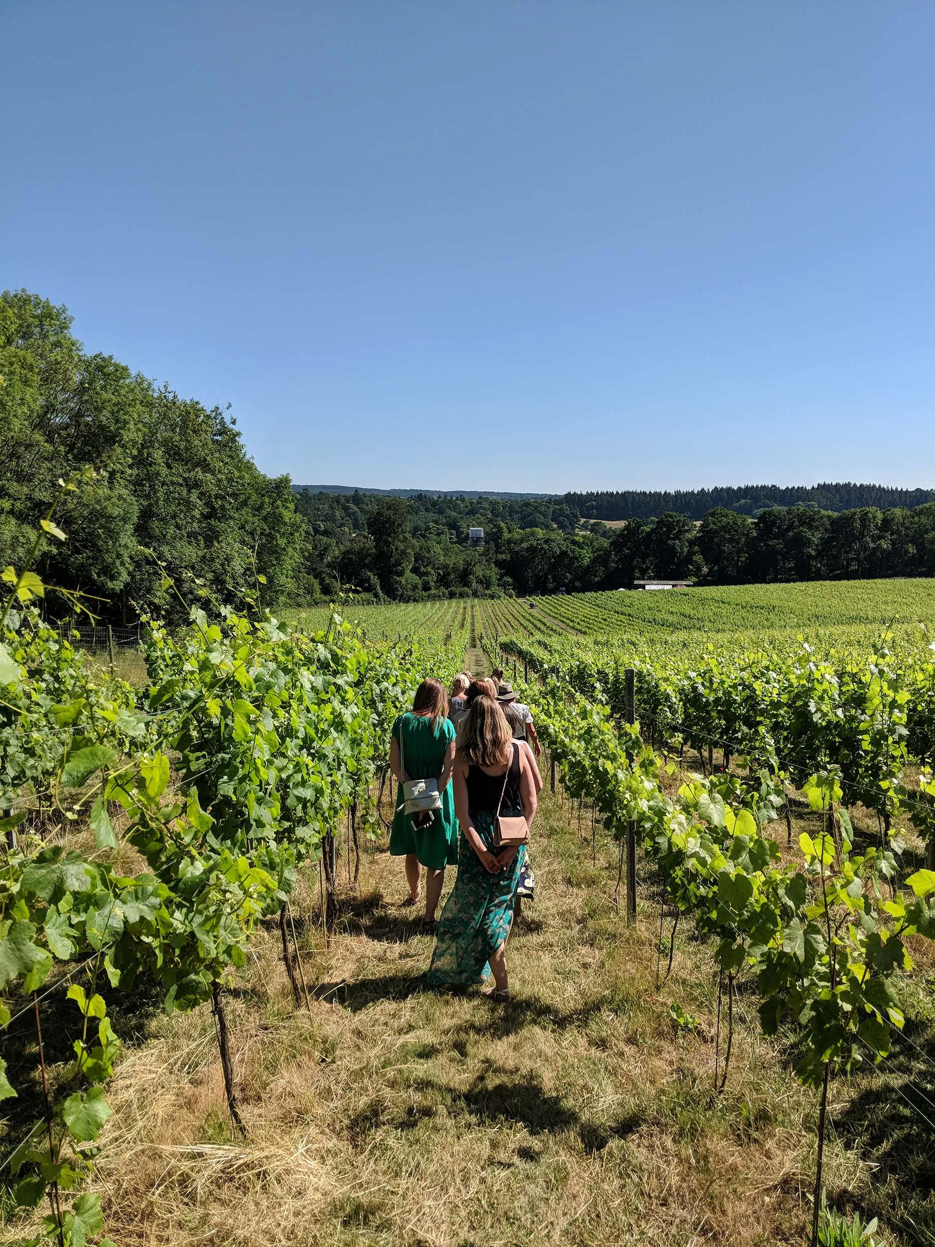 Emma's Surrey Hills Tour