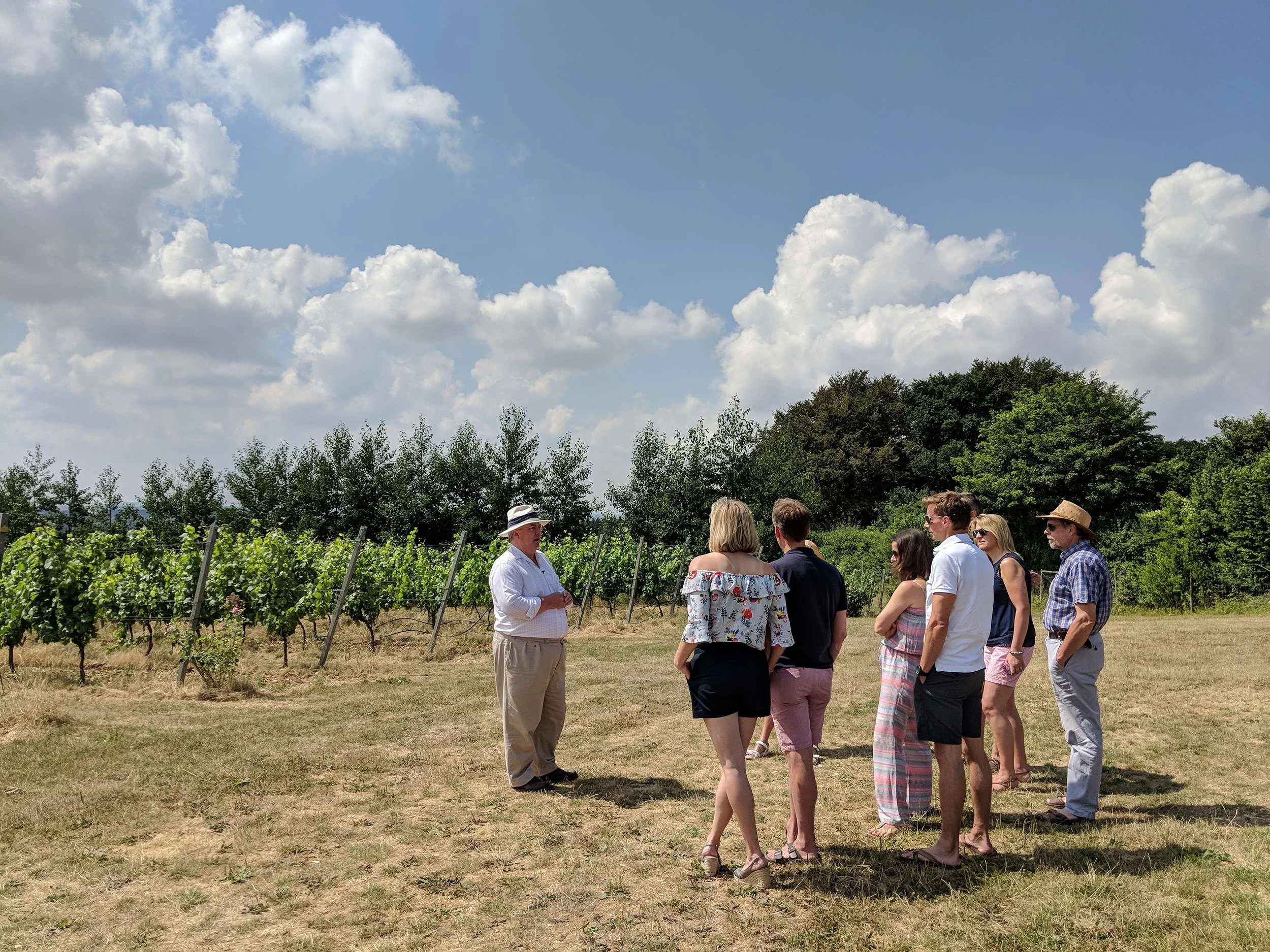 Vineyard tour at Hattingley Valley Wines