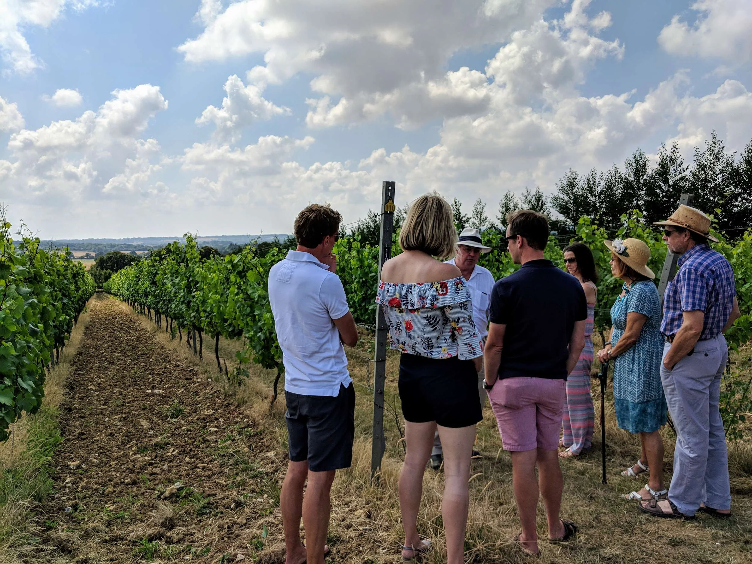 Vineyard tour at Hattingley Valley Wines