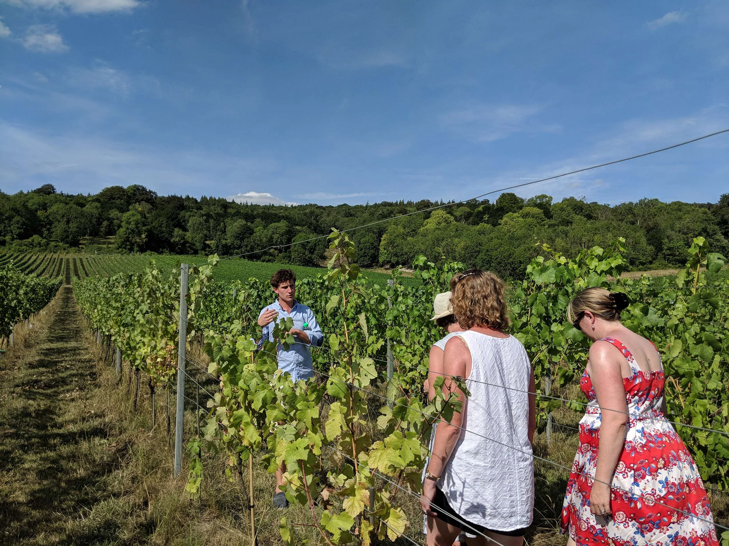 Colette's Surrey Hills Tour