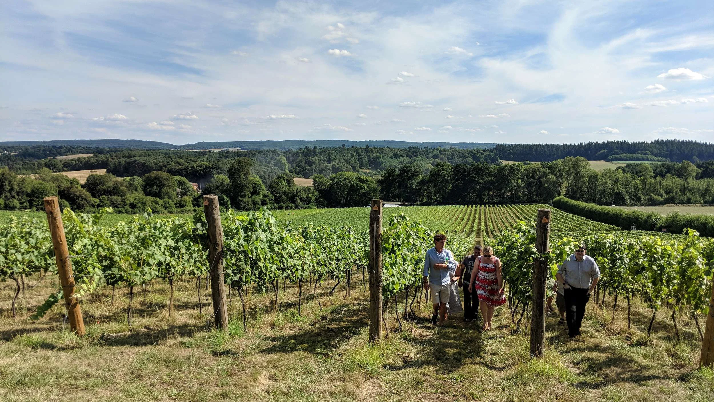 Colette's Surrey Hills Tour