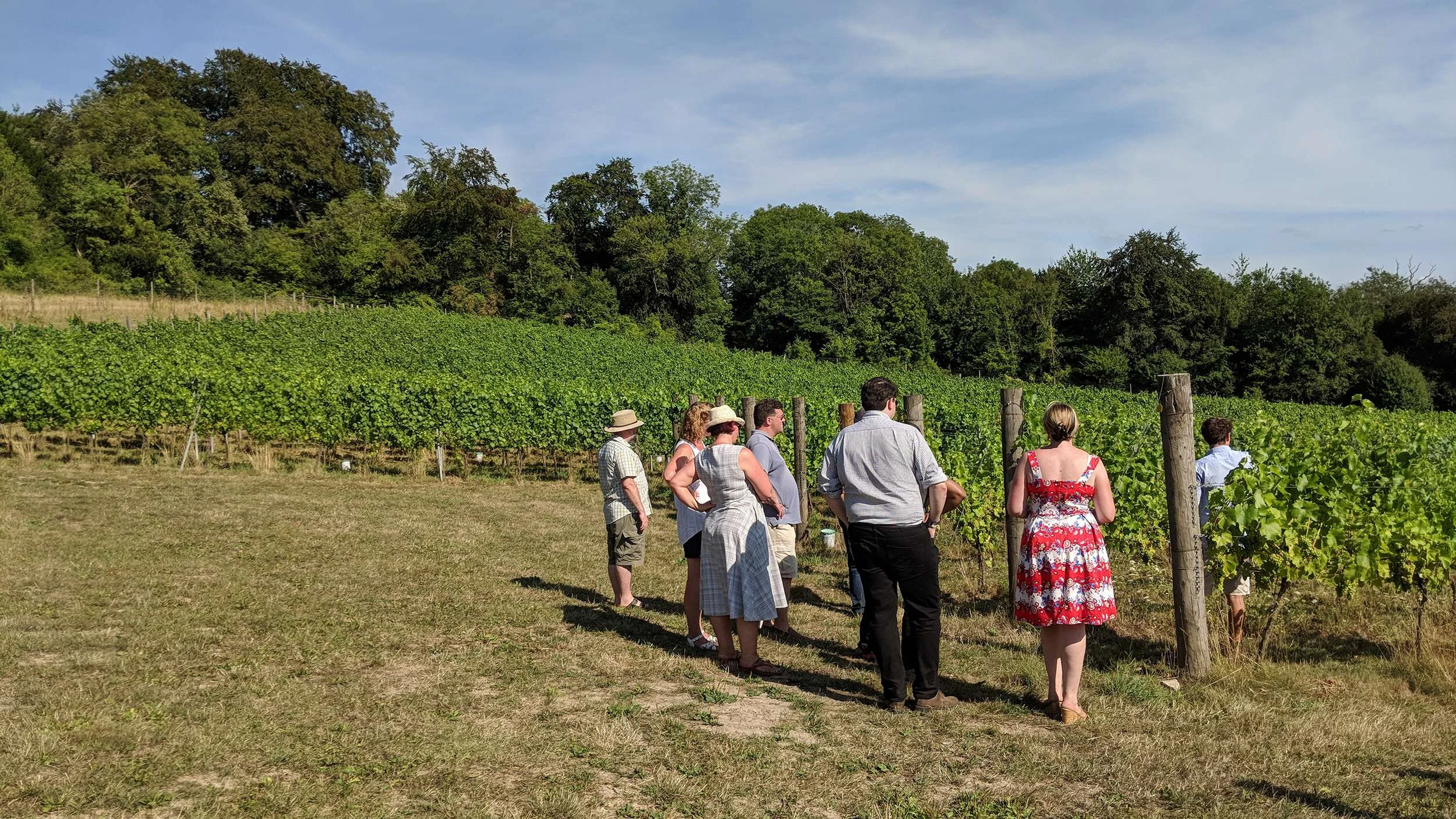 Colette's Surrey Hills Tour