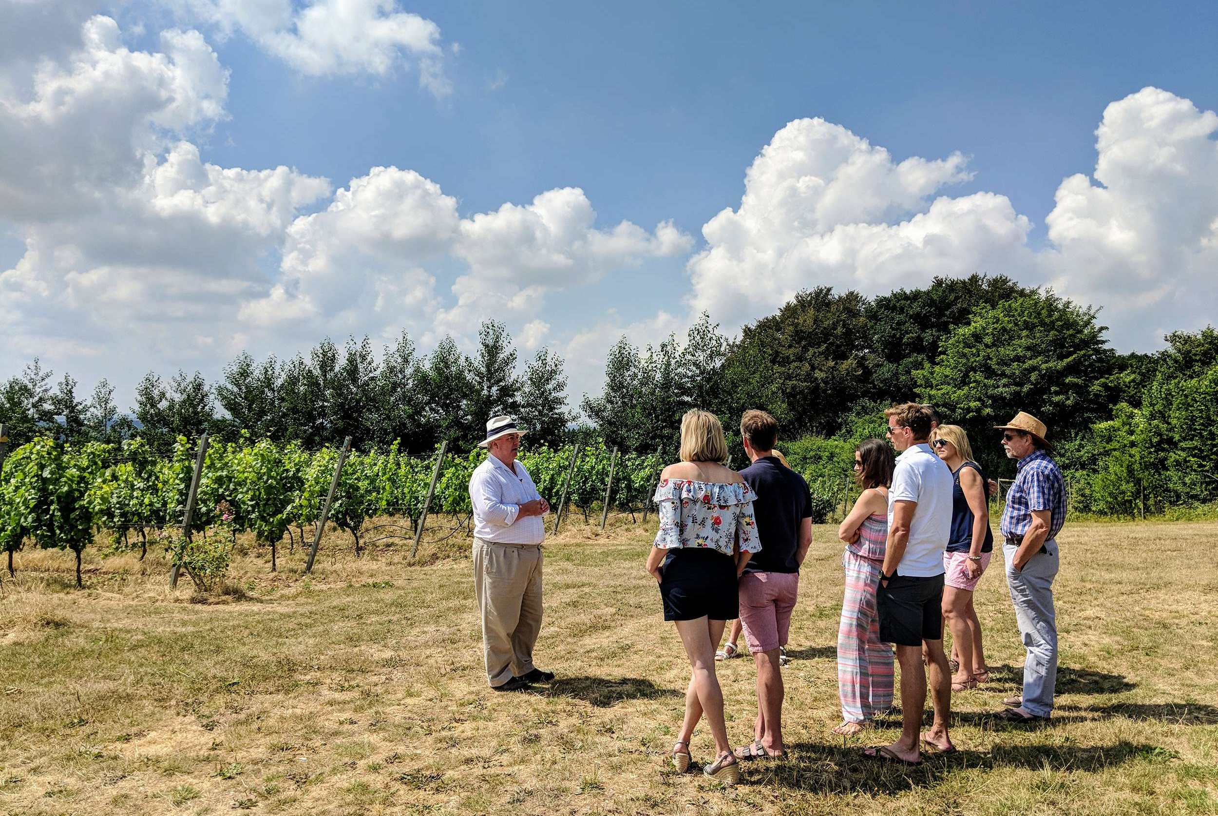 hampshire-wine-tour.jpg