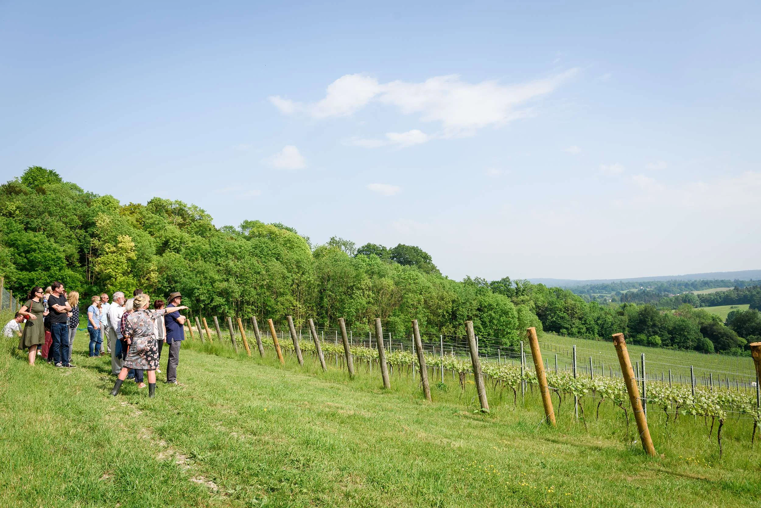 Press Release: Grape &amp; Grain Tours announces two new tours in South of England