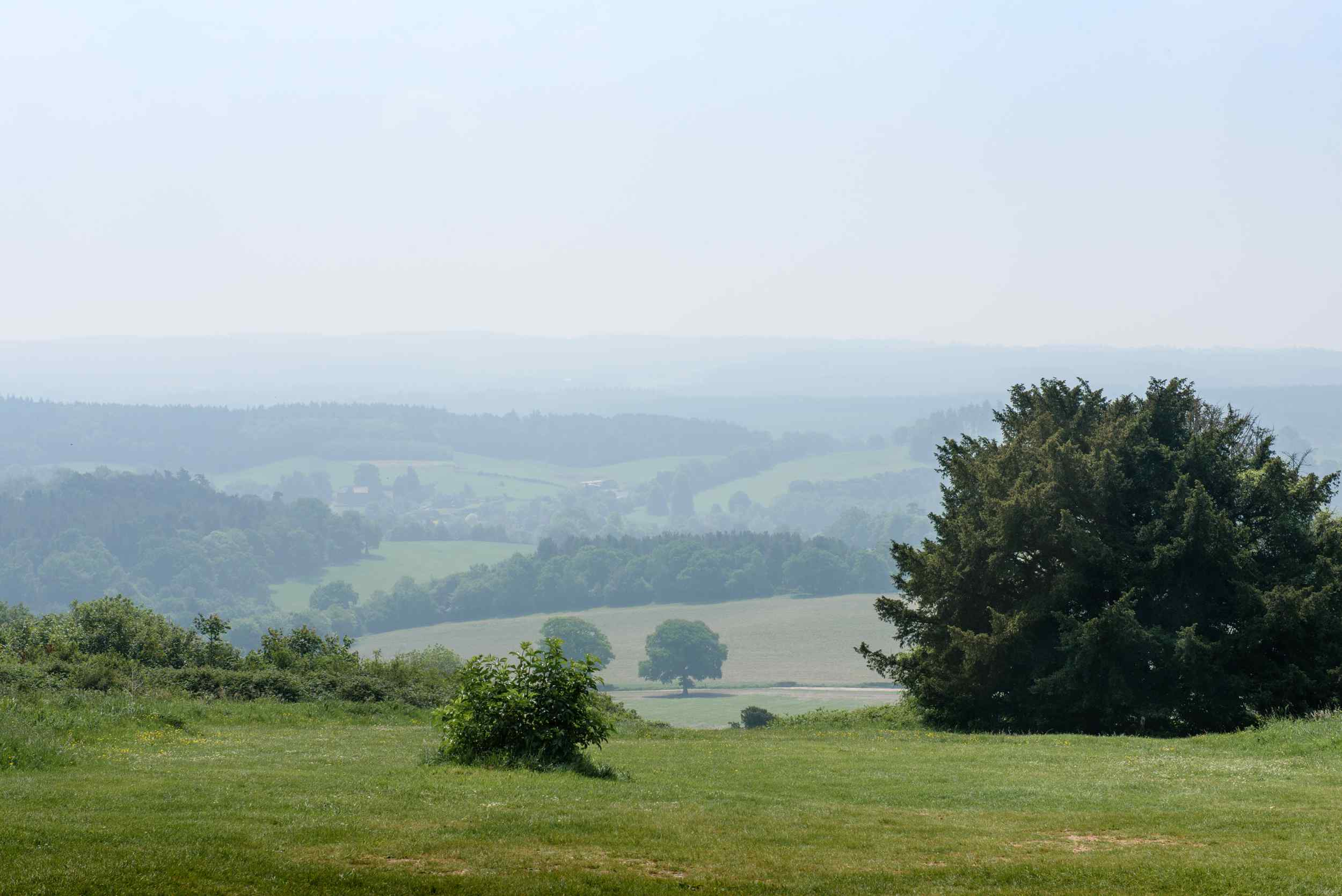 surrey-hills-tour-newlands-corner.jpg