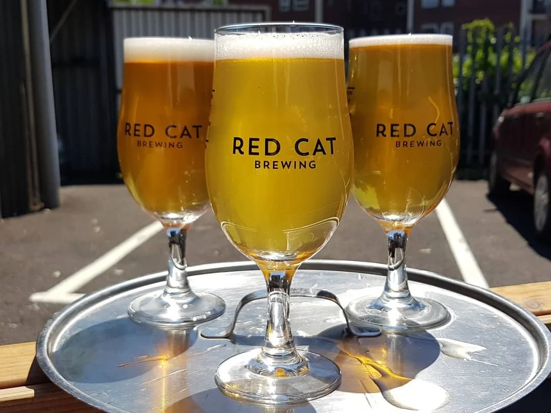 Our Hampshire Tours are now visiting Red Cat Brewing!