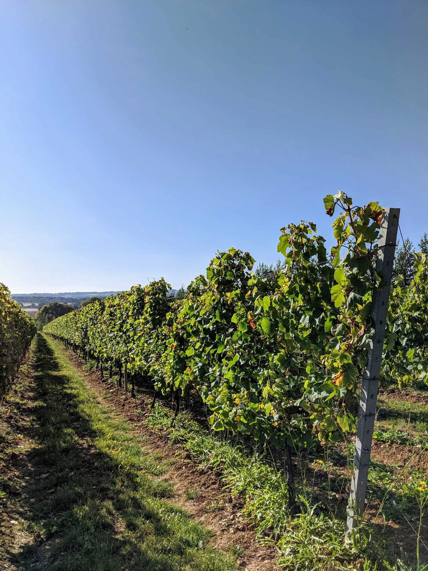 Private-Hampshire-Tour-21-09-19_3.jpg