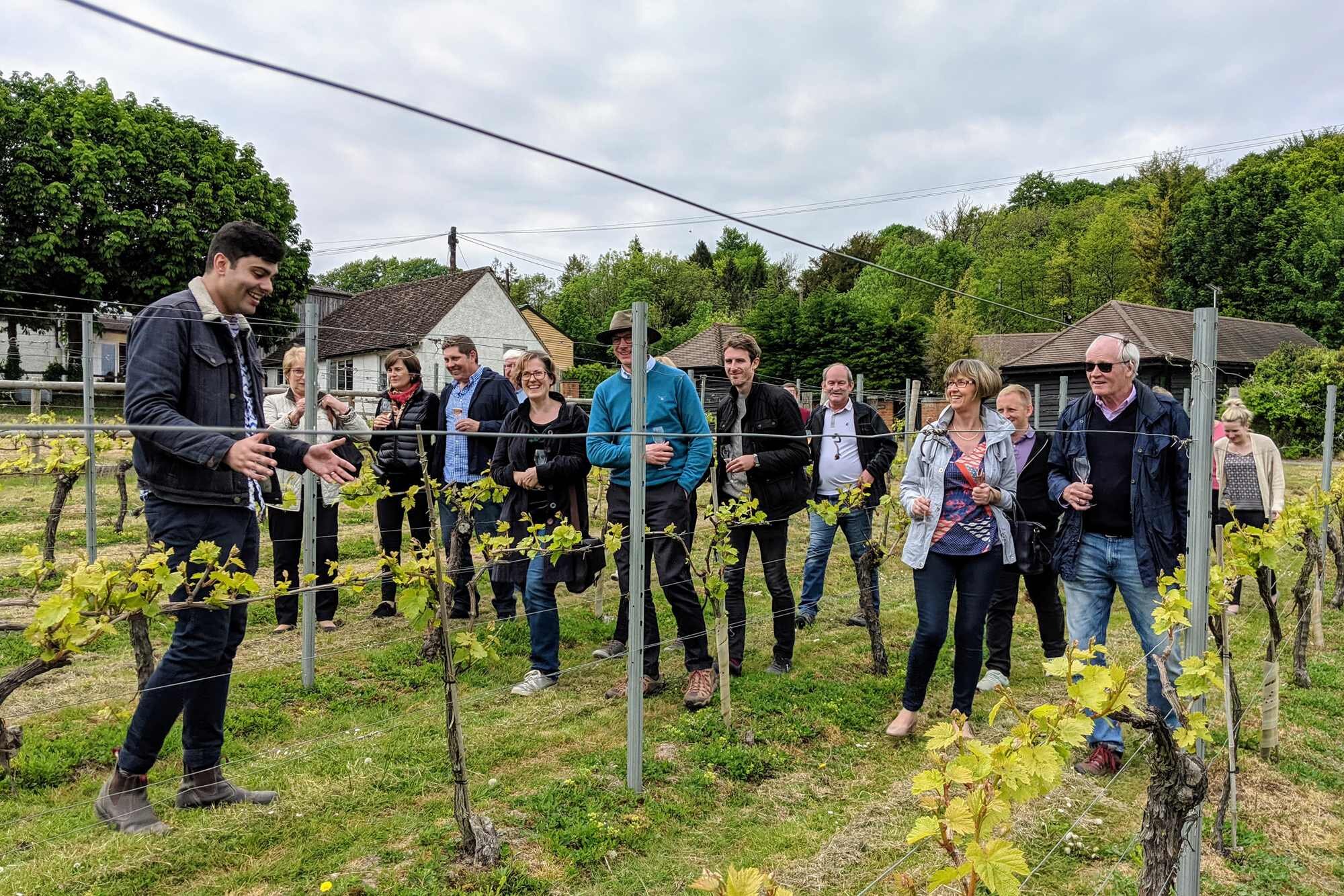 greyfriars-vineyard-2.jpg