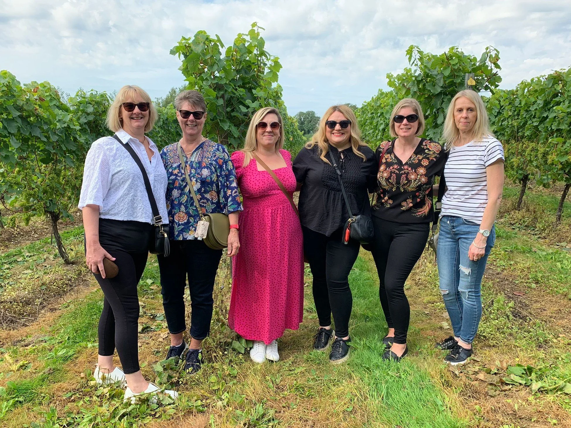 Tour Photos Vineyards of Hampshire Tour 16th September 2023 Grape