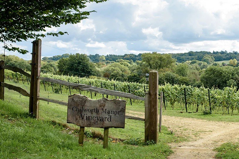 Chilworth Manor Vineyard