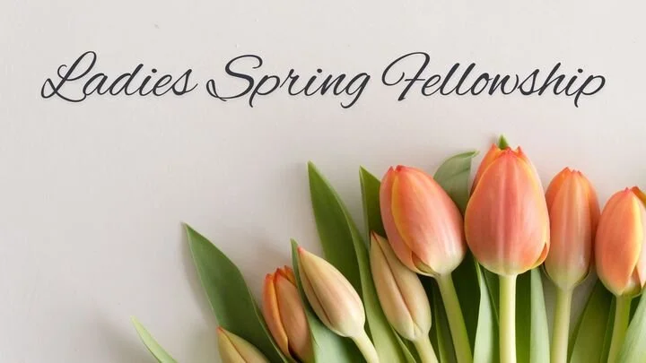 Ladies Spring Fellowship