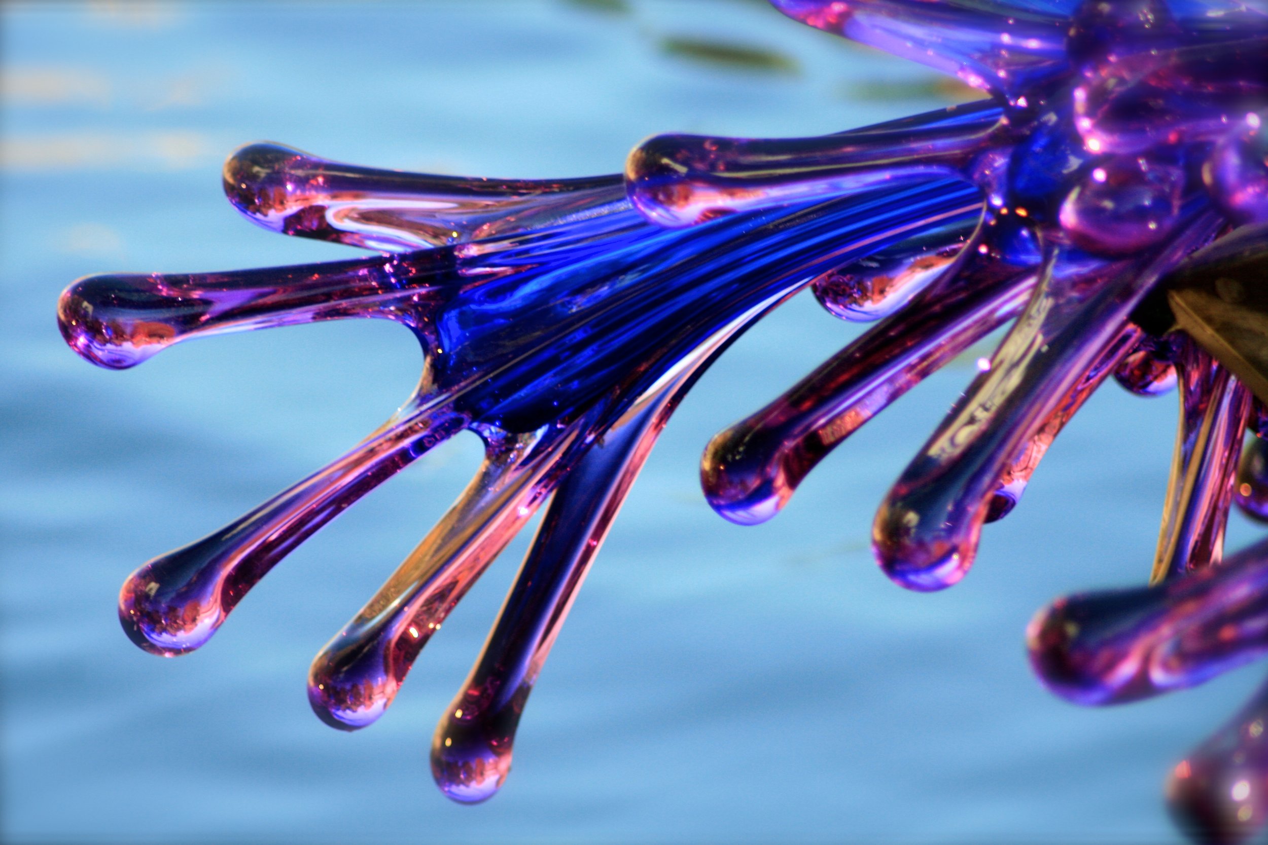 February Performance Class