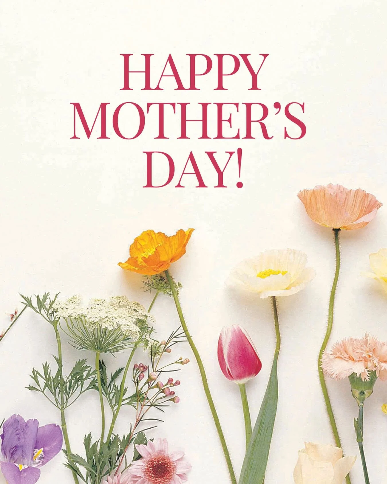 Happy Mother&rsquo;s Day from 2nd Street Studio of Dance! 🌸🌼🪻

#2ndstreetdance #happymothersday