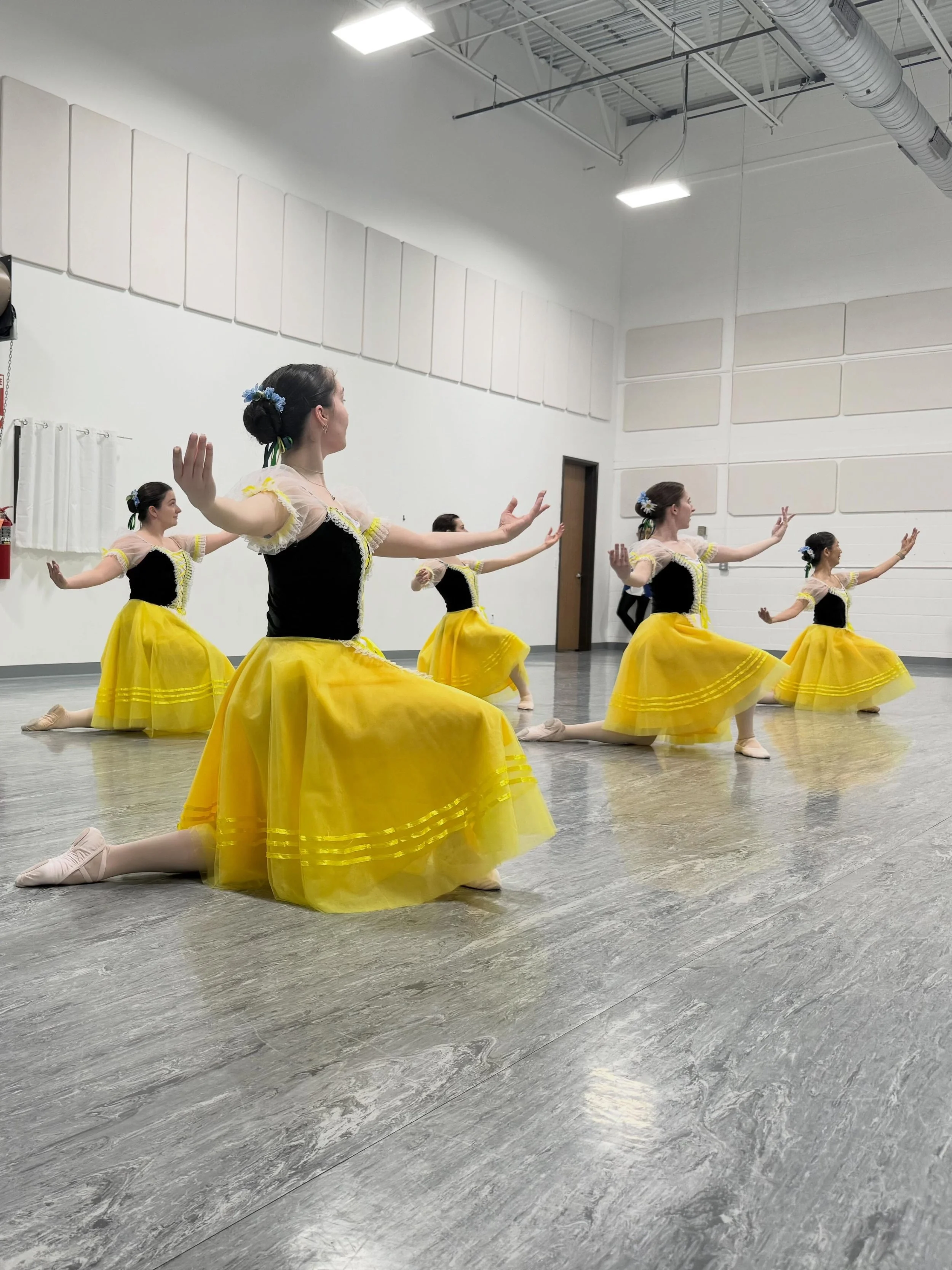 A few shots from Act 1 of Swan Lake from our in studio dress rehearsal! It is going to be a great family show you do not want to miss! Meet and greet with the main characters after the show! 

🦢🩰Swan Lake 🩰🦢
Saturday, May 16th at 6:30pm 
at Troy 