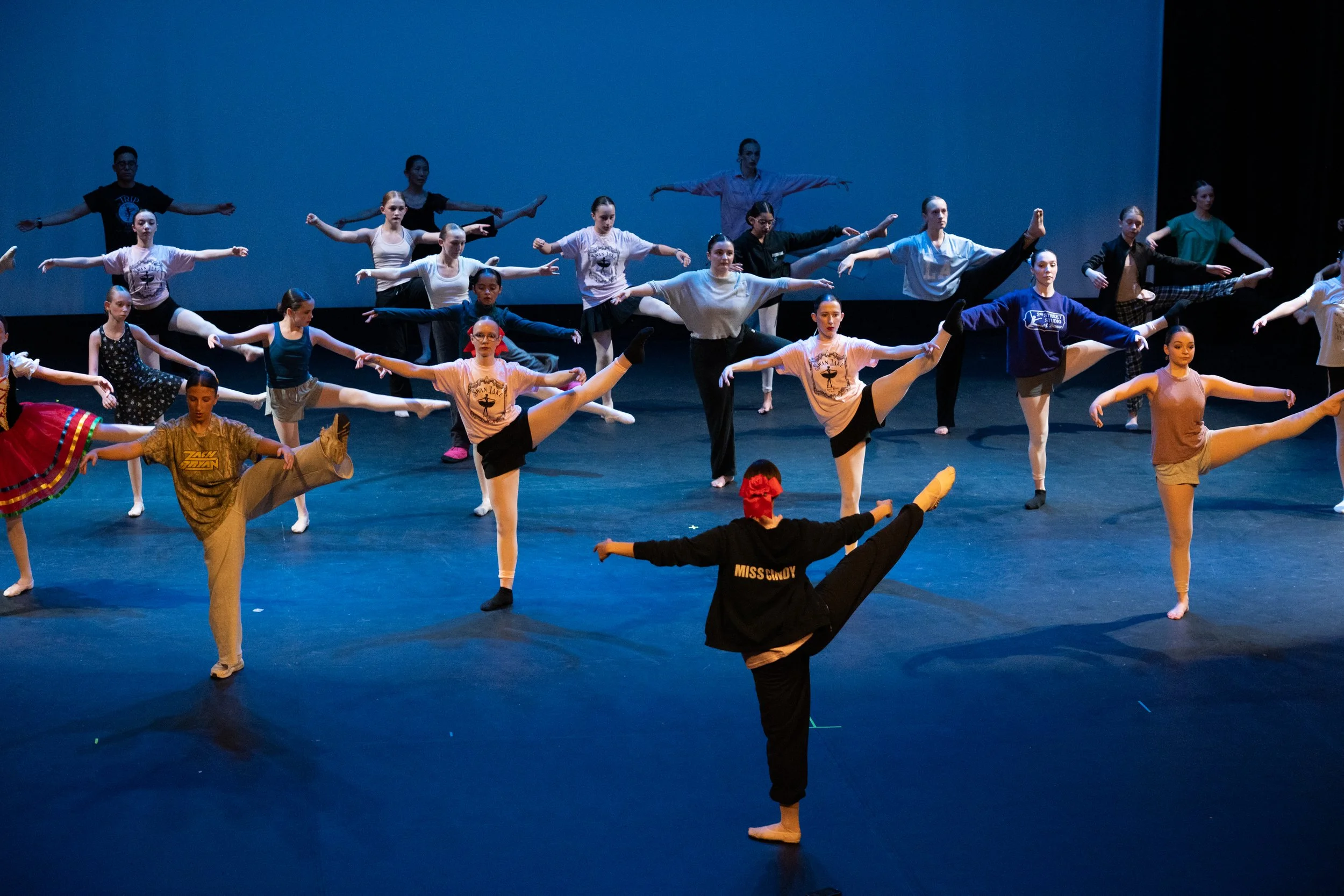 1146_DG_2ndStreetDance_SwanLake_photobyAllisonArmfield-10.jpg