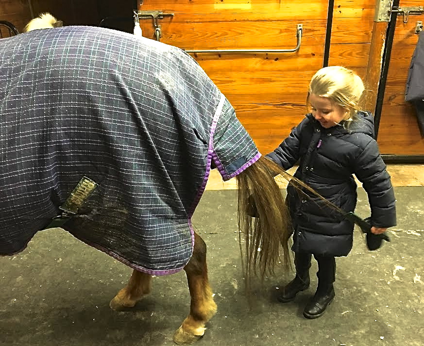 combing horse tail.jpg