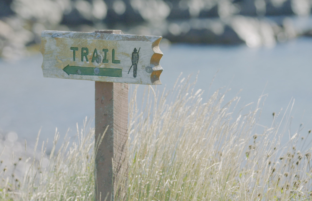 Destination Canada wins silver for best use of content marketing at the Travel Marketing Awards 2017. 