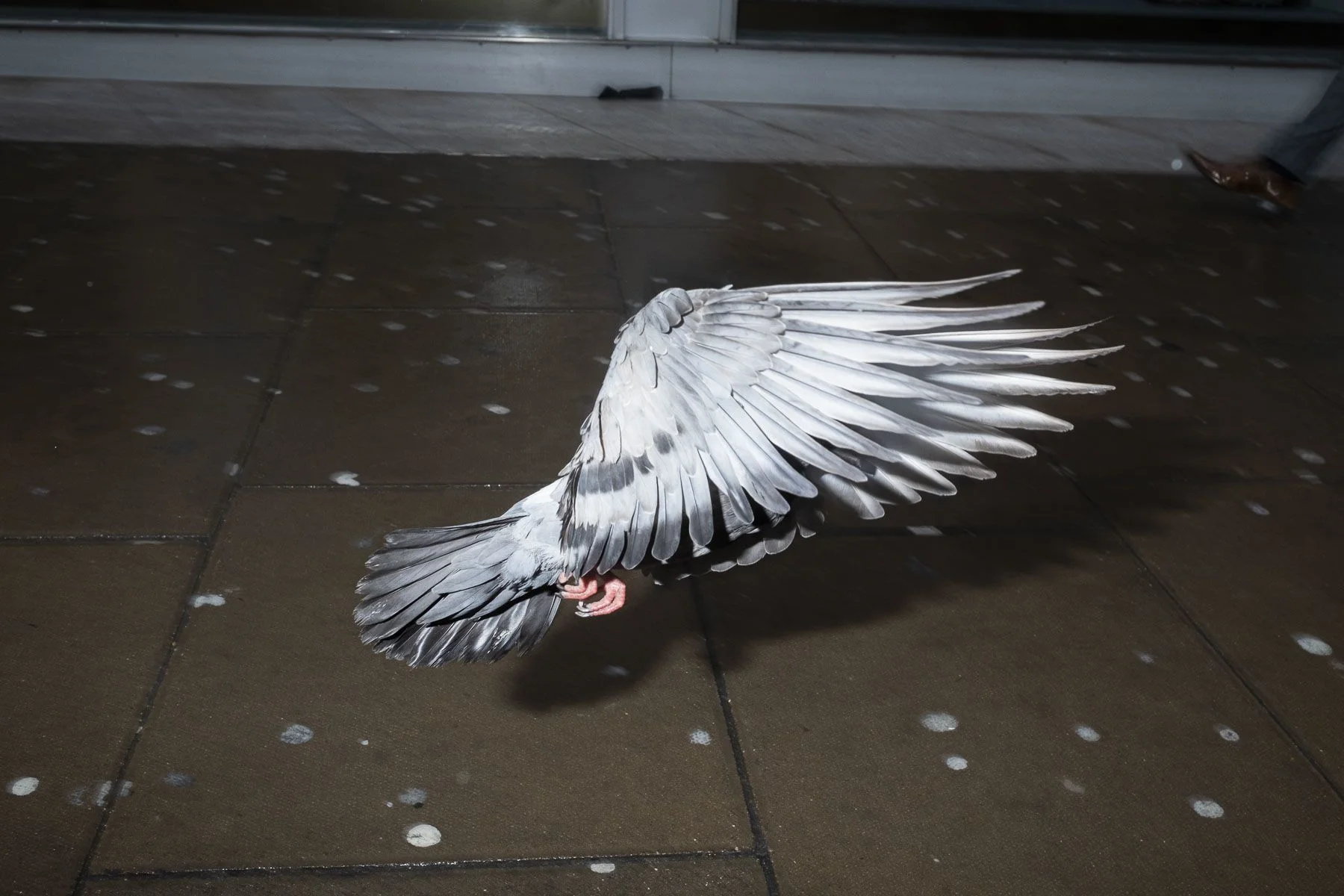 'Sorry, Thank You' a new film from Huck for Vans