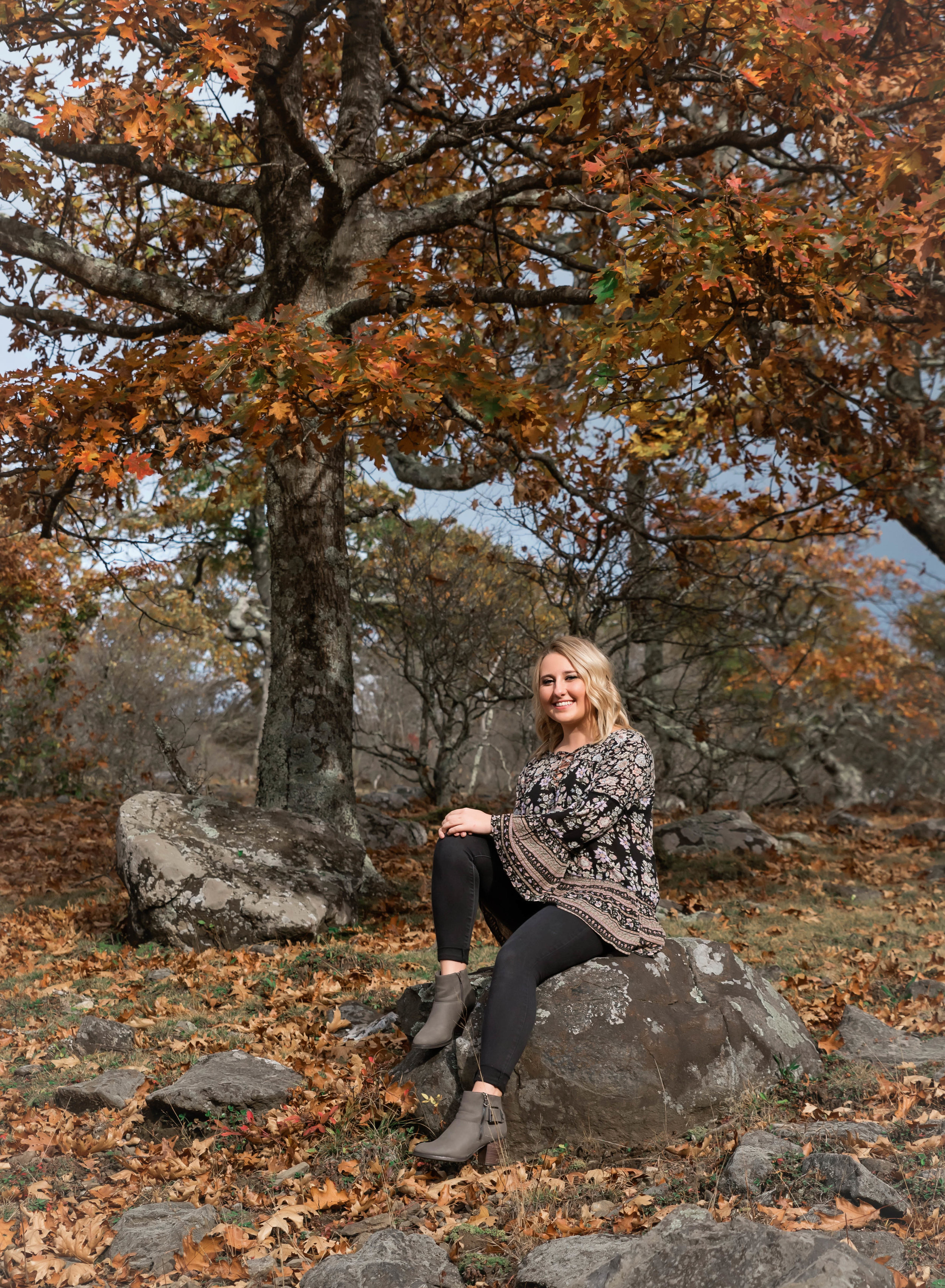 girl seating on rock with fall tree in background - Blowing Rock | Banner Elk Senior Photographer