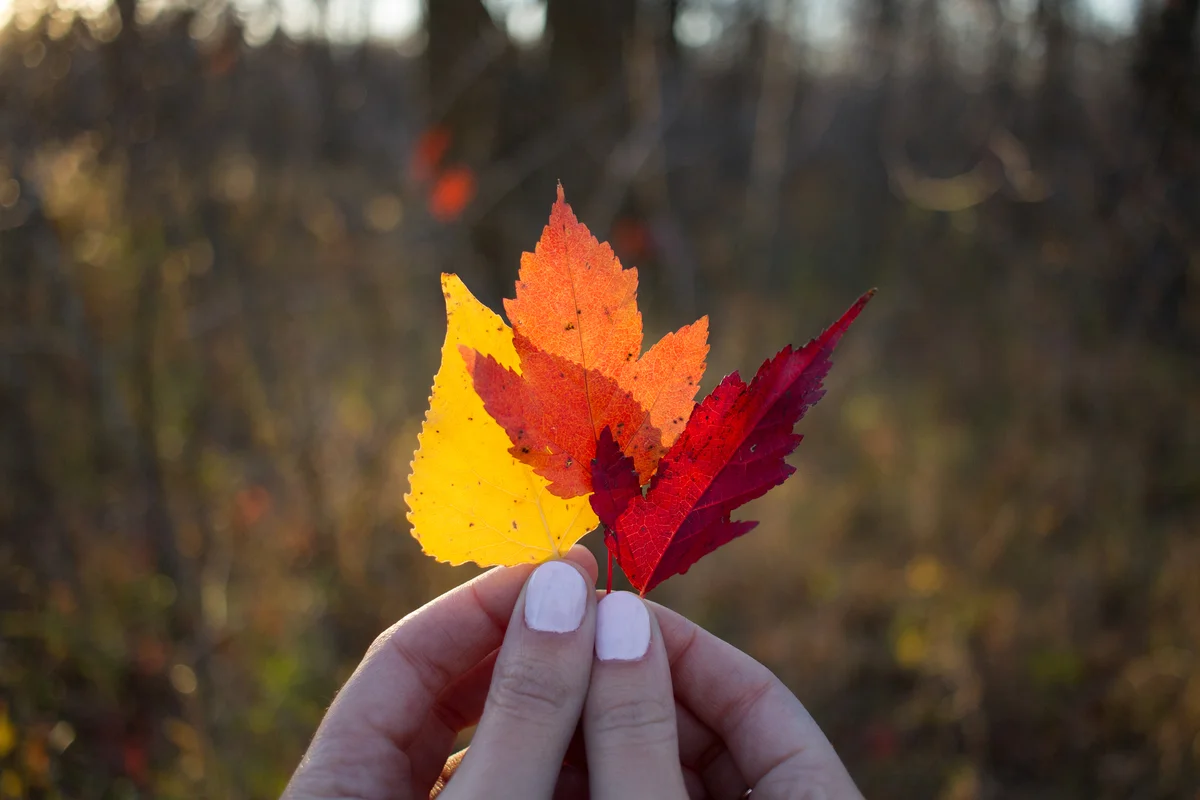 lightstock_385465_small_user_43208096.jpg