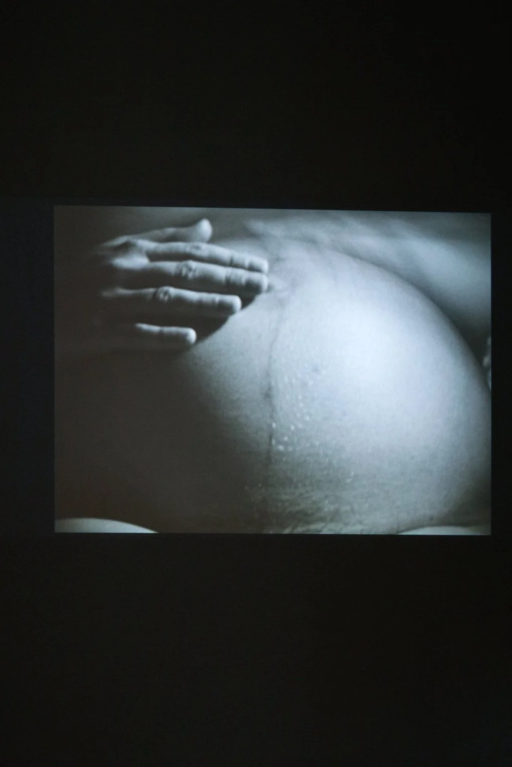 2015_10_30_601Artspace_MyBrotherLiar_097.jpg