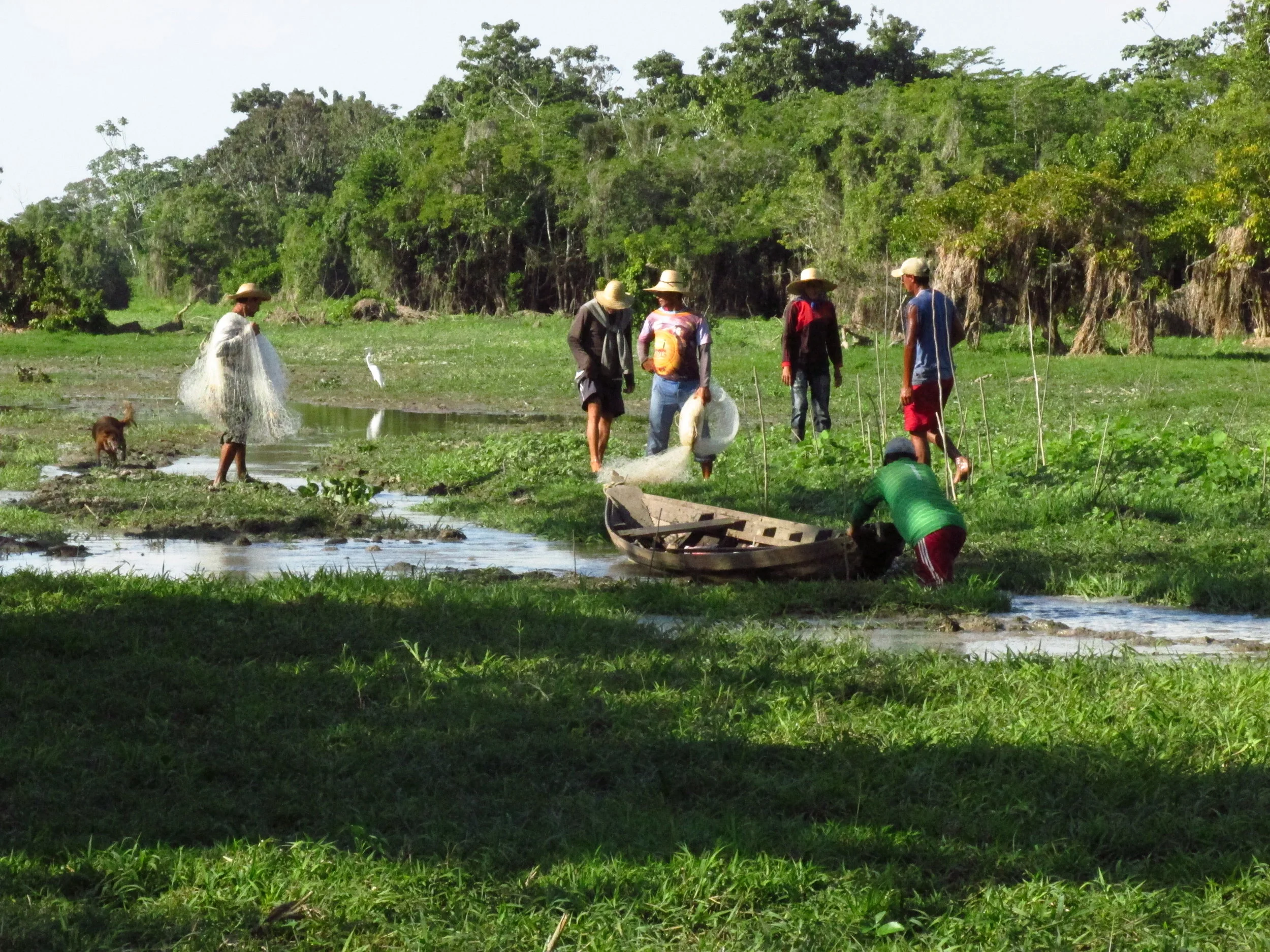 Começa nesta quarta contagem do Pirarucu no Tapará