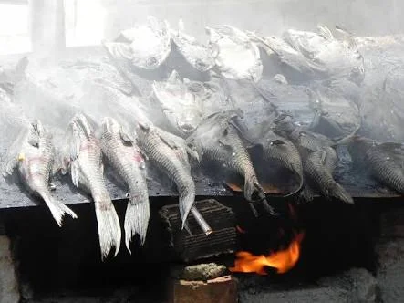 XXII Festival do Acari será neste domingo (26) em Alenquer 