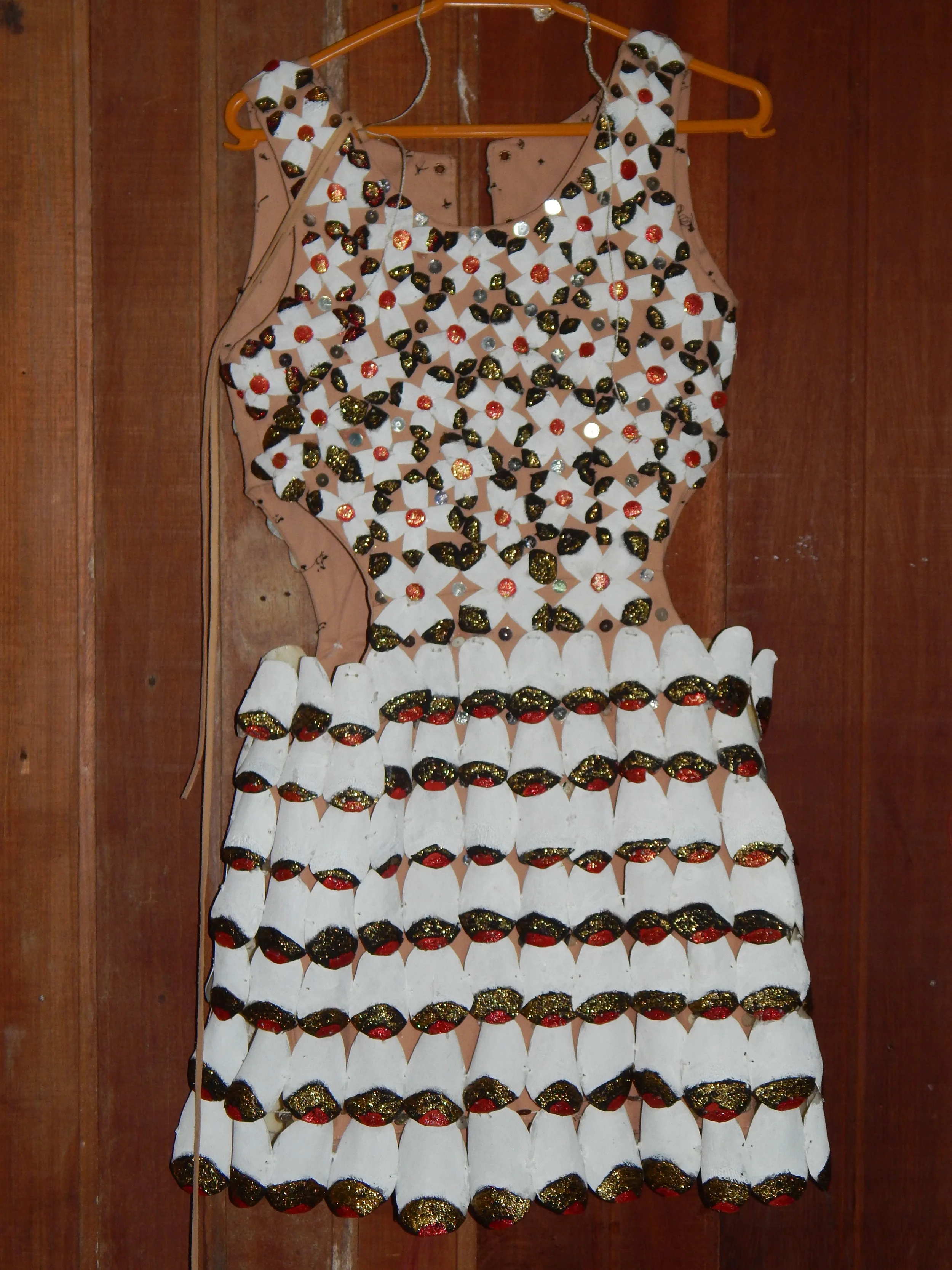 Biojóia de escama do Pirarucu gera renda em Santa Maria do Tapará