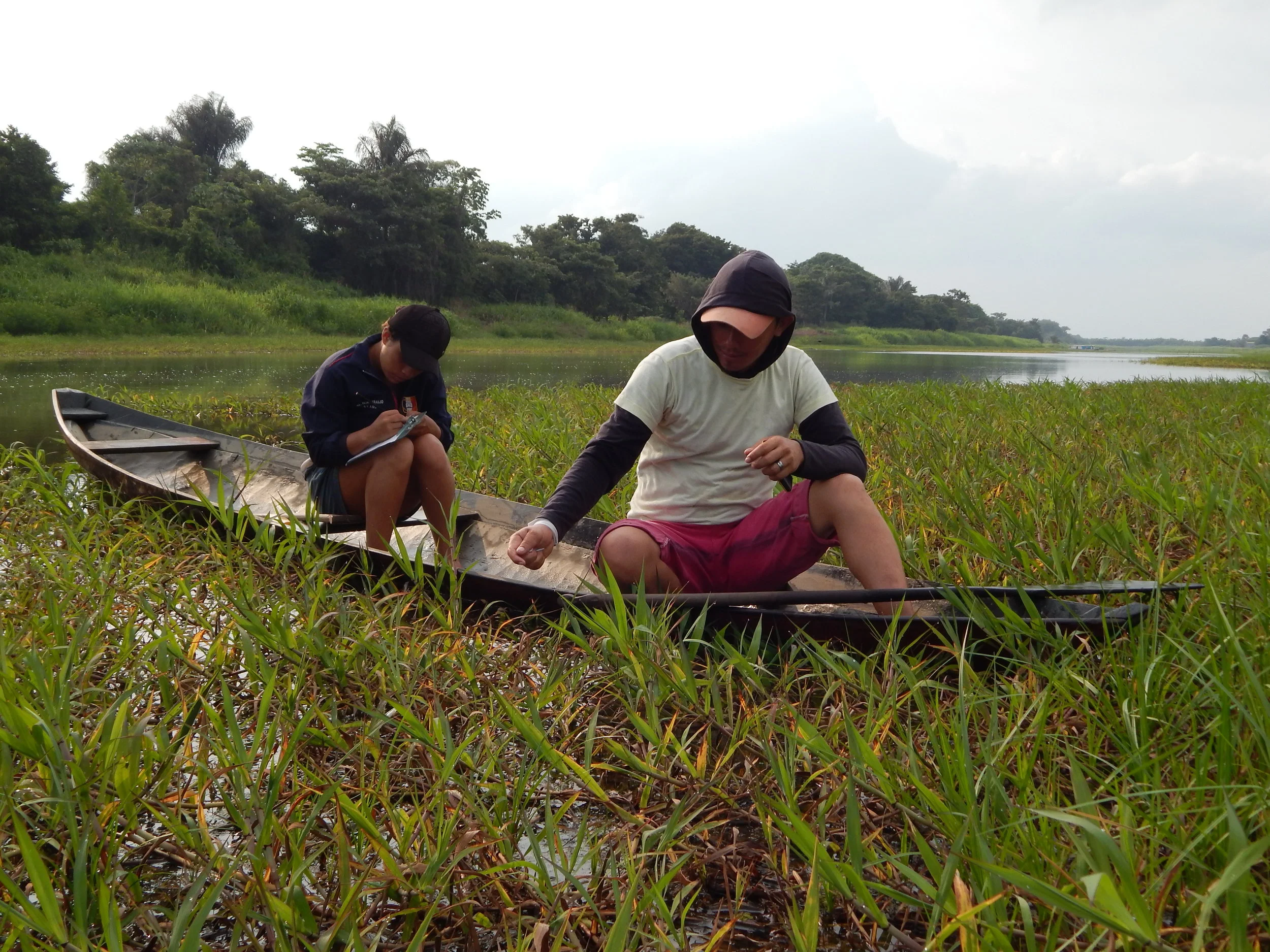 Aplicativo será usado para monitoramento do pescado em comunidades tradicionais da várzea em Santarém 