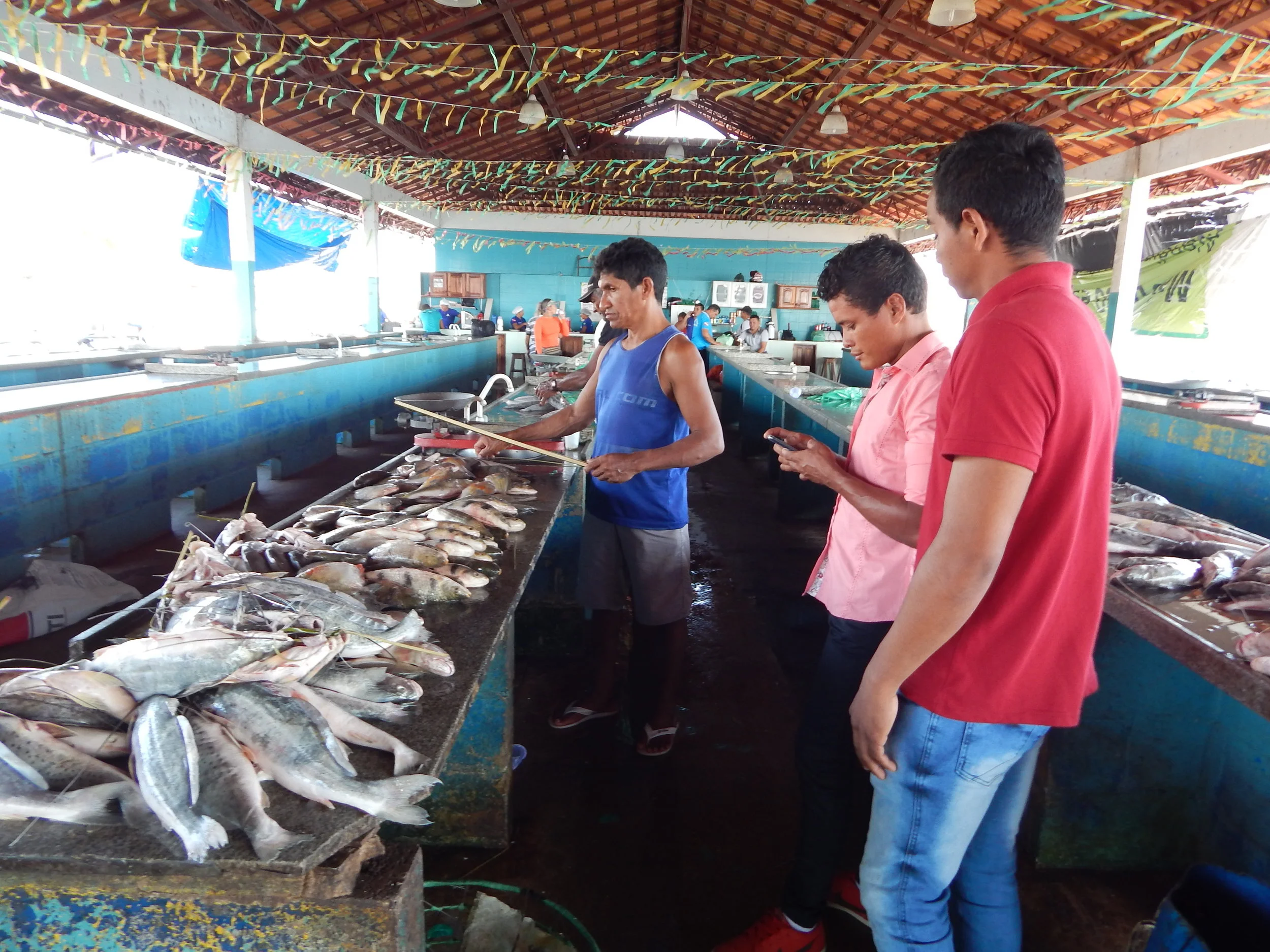 "A gente pescava por pescar. Não tinha controle" - lamenta pescador sobre falta de monitoramento do pescado 