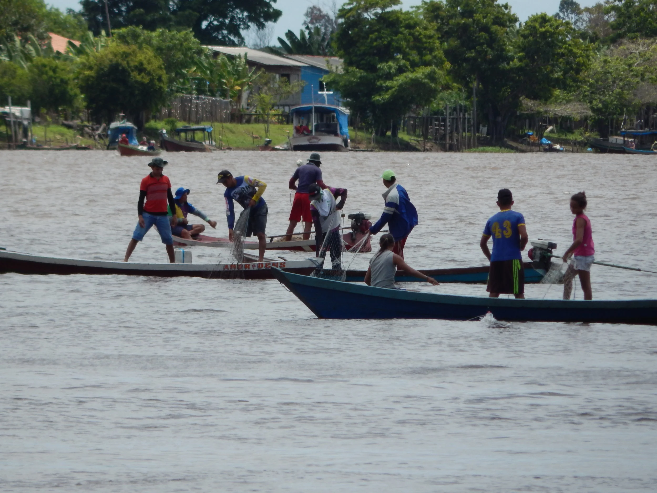 Pescadores organizam pesca coletiva de cardume após informação de colegas do Amapá e Amazonas