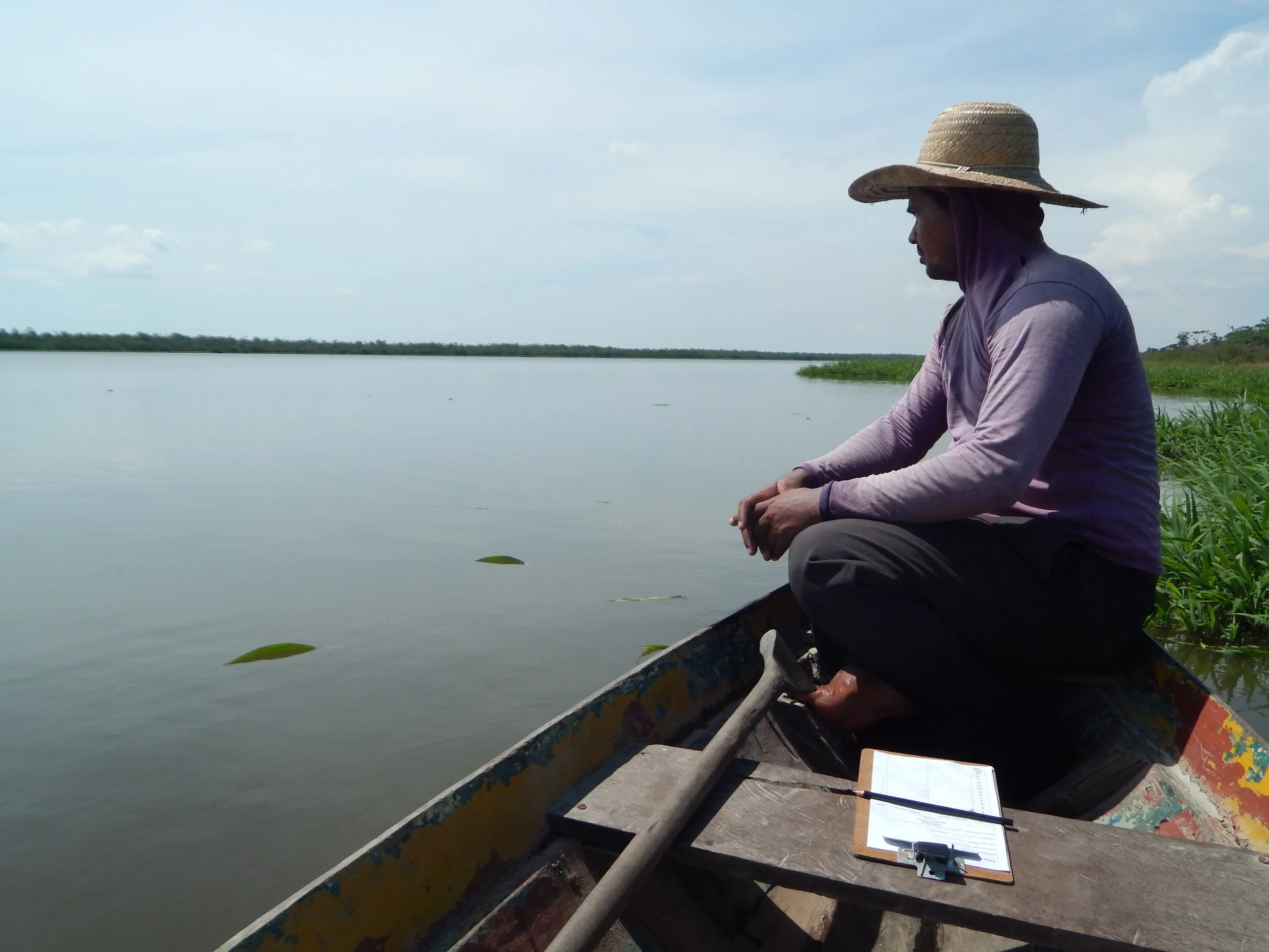 Suspensão do uso de malhadeira é atribuída a aumento de pirarucus em Santa Maria