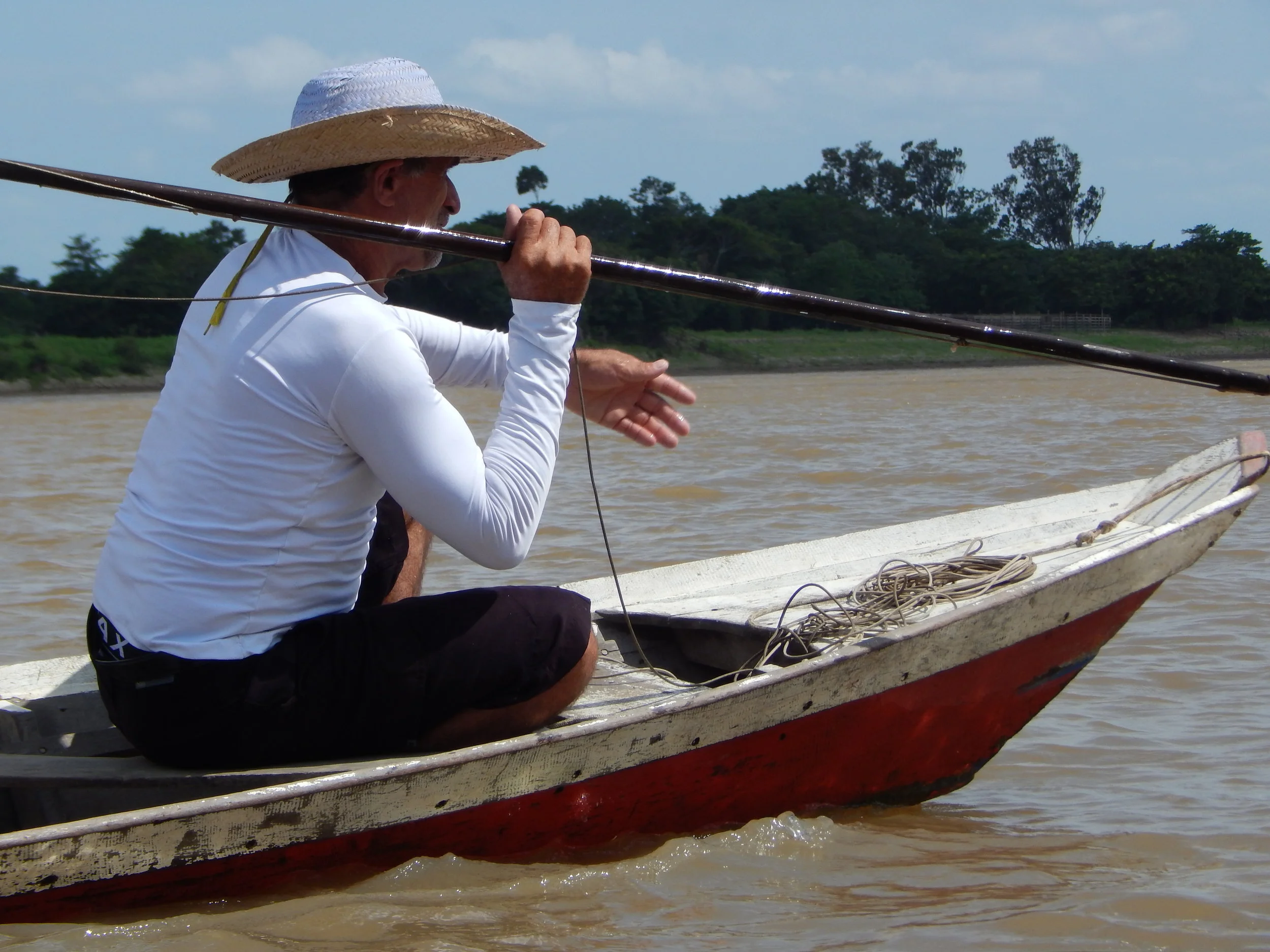 Projeto de lei que regulamenta a pesca do pirarucu é aprovado na ALEPA