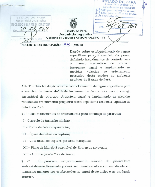 Projeto de lei que regulamenta pesca do pirarucu