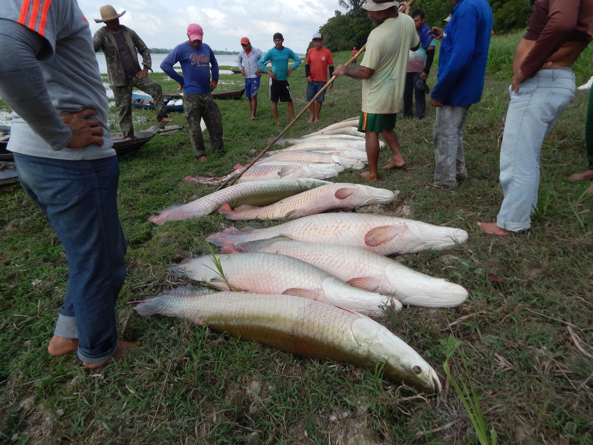 Pescadores fazem pesca comunitária para reformar casa dos professores 