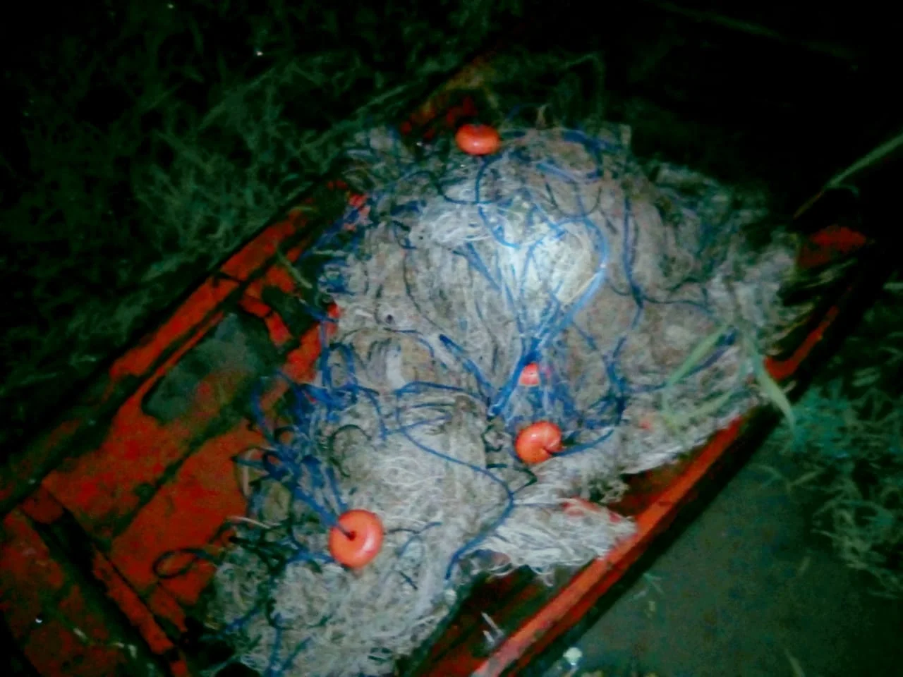 Uso de explosivo em Lago do Tapará gera confusão e chega à Delegacia da Polícia Civil em Santarém