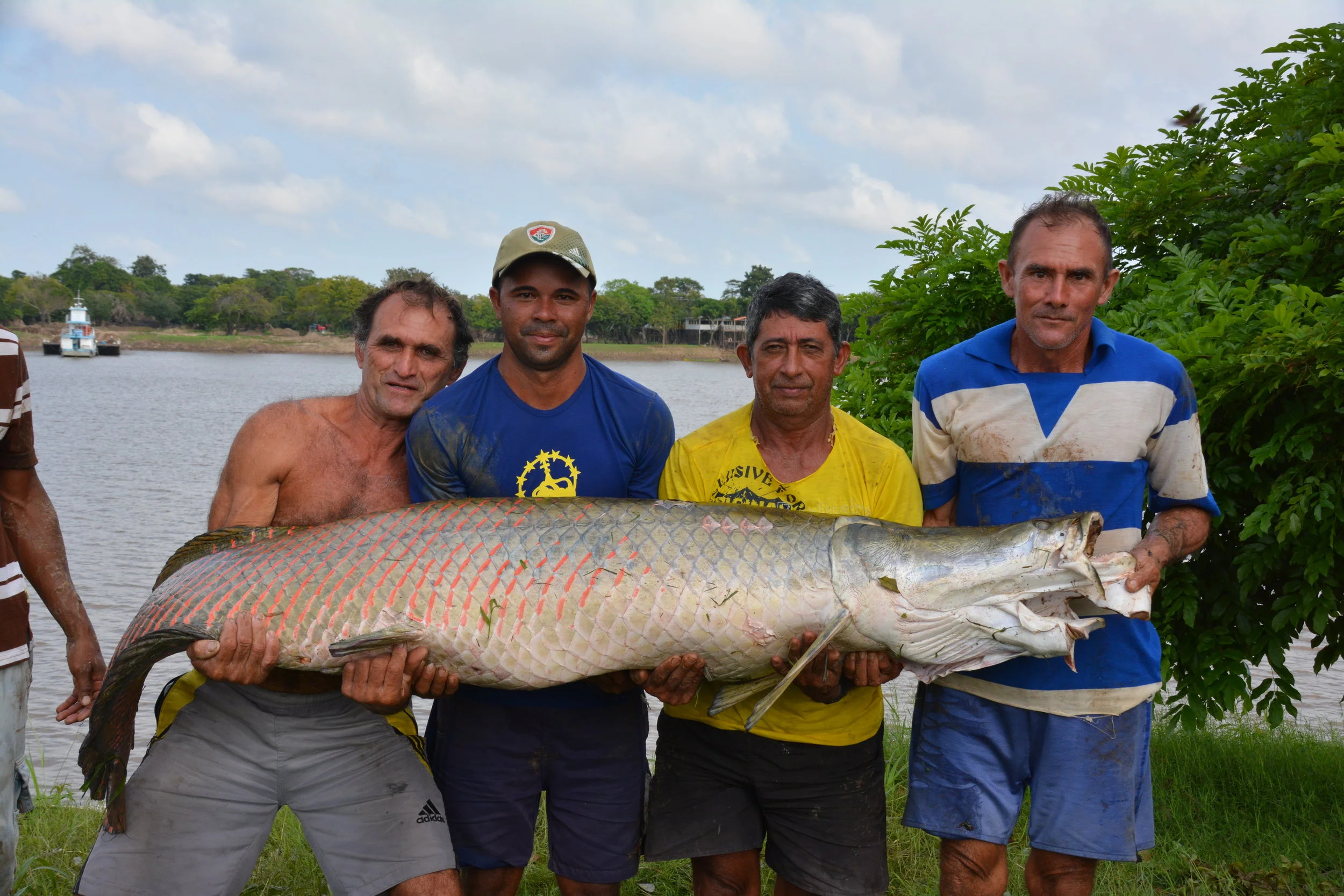 Aumento do faturamento após Rodada de Negócios anima pescadores. Inspiradas na experiência, duas novas comunidades planejam atividades para 2019
