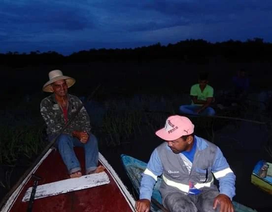 Contagem de pirarucus em Pixuna do Tapará