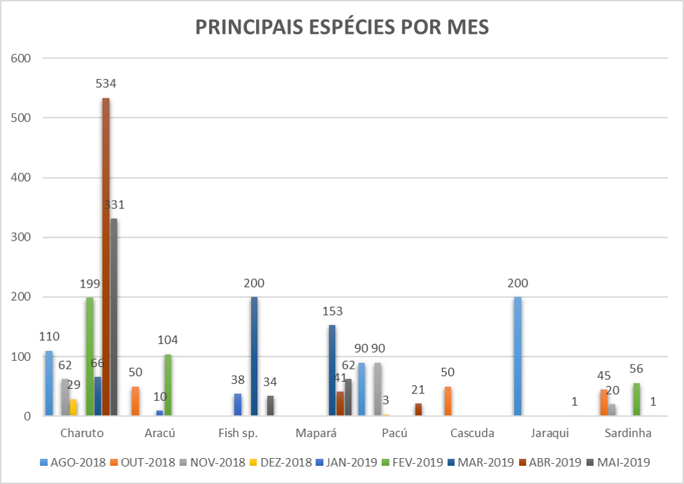 Imagem1.png