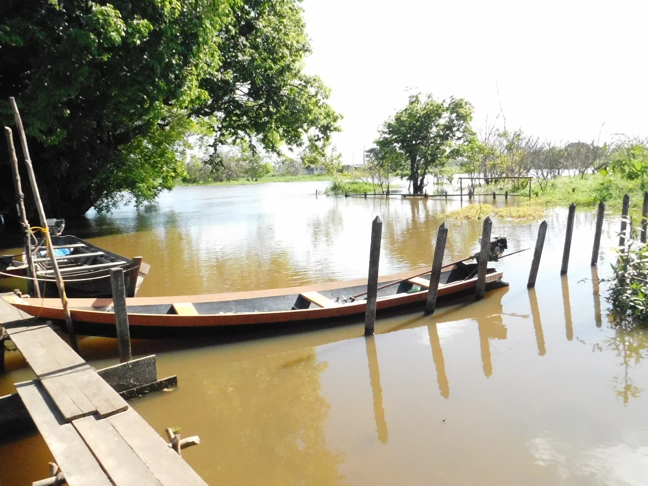 Comunidade Tapará Miri no período da cheia. Foto: Samela Bonfim.
