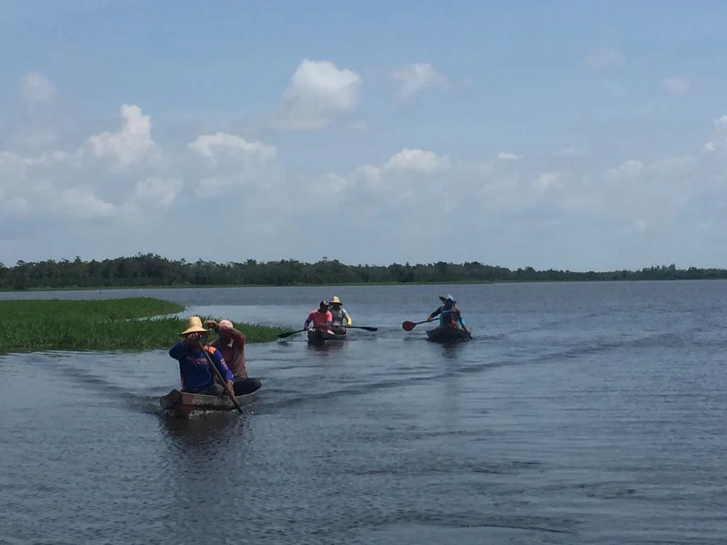 Comunidade Santa Maria realiza contagem de pirarucus