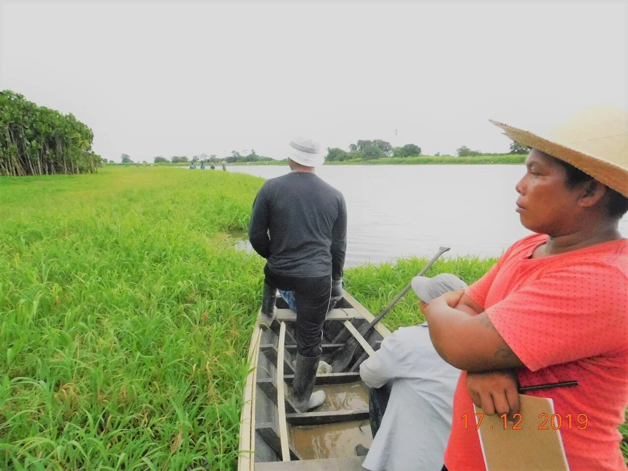Contagem de pirarucu aponta aumento de 33% em Costa do Tapará 