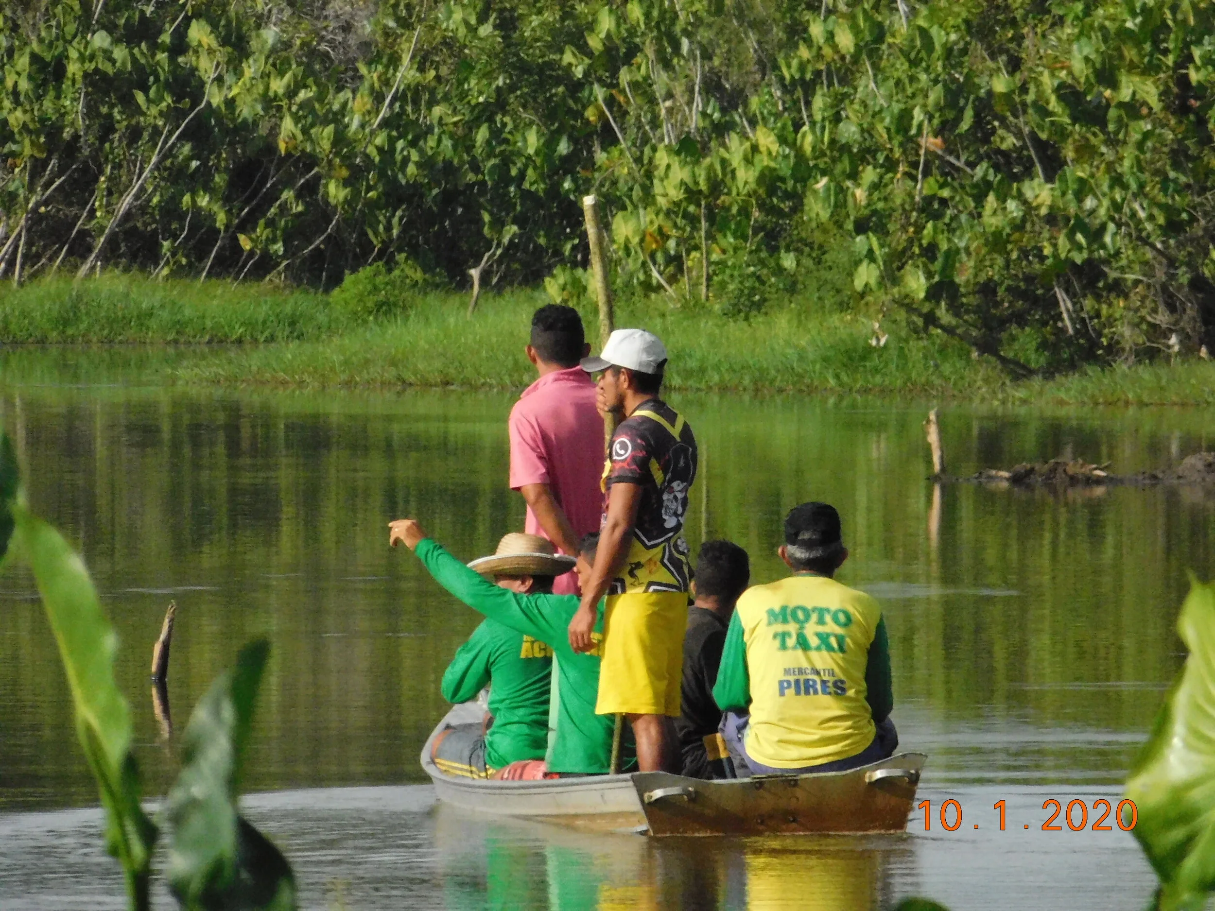 Manejo do pirarucu: pescadores realizam contagem em Alenquer